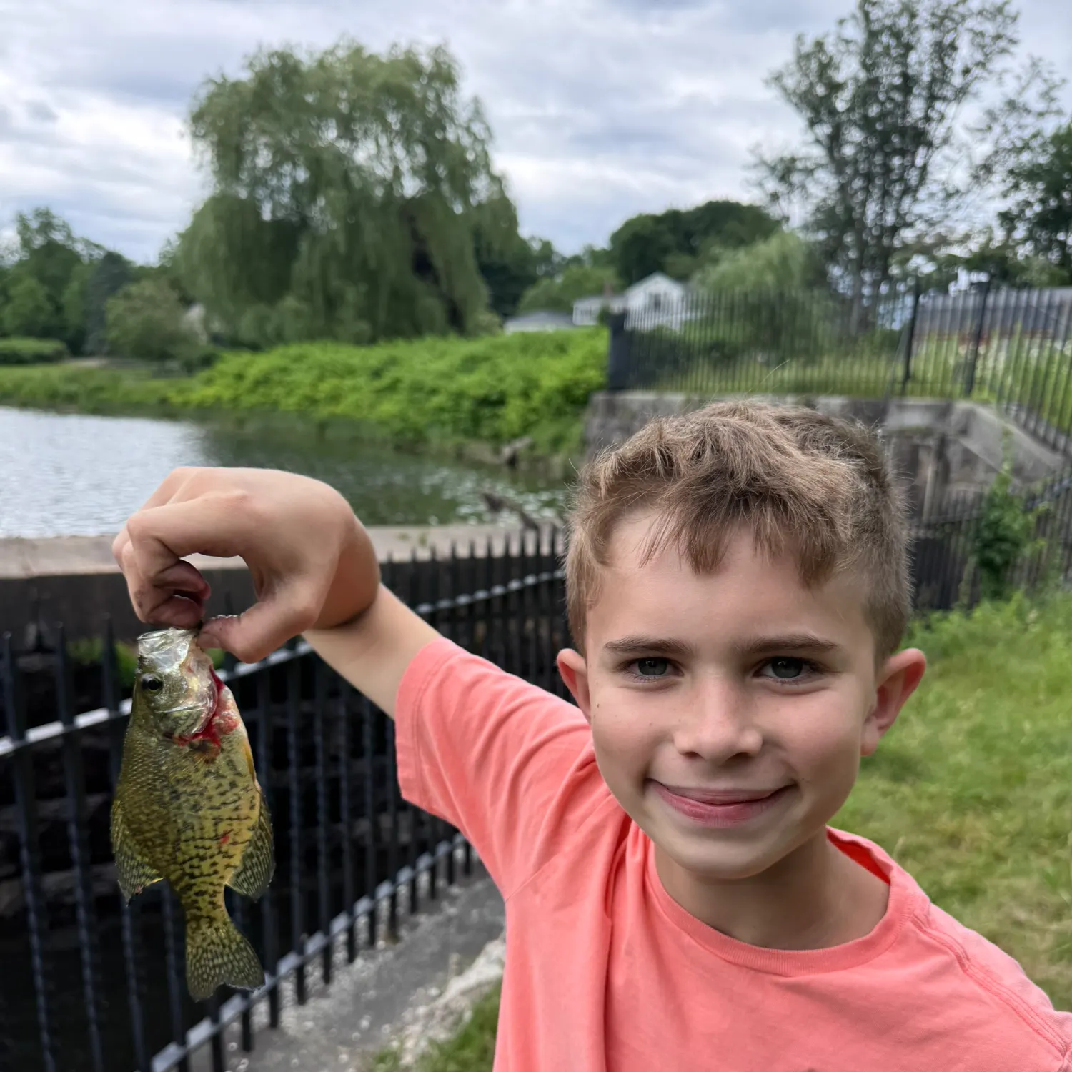 catch