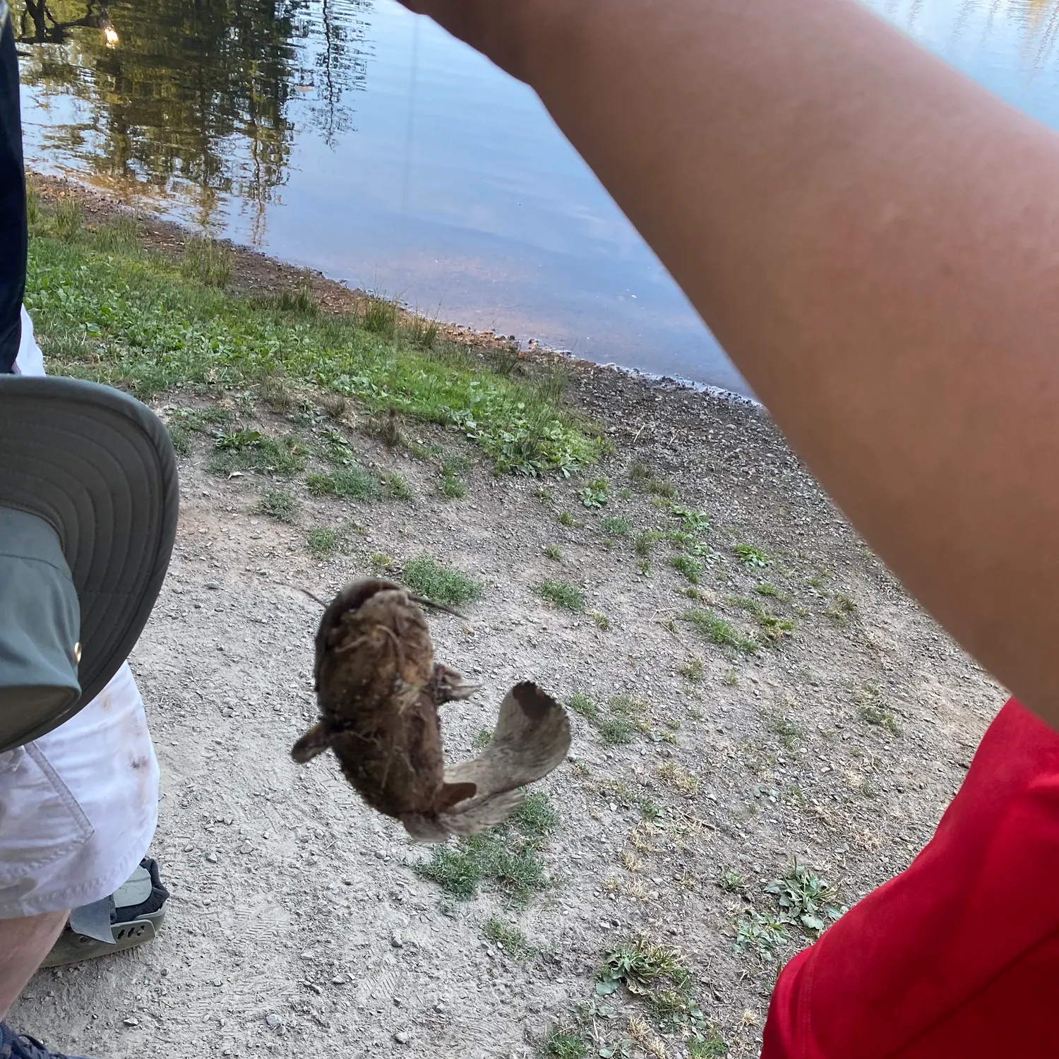 catch