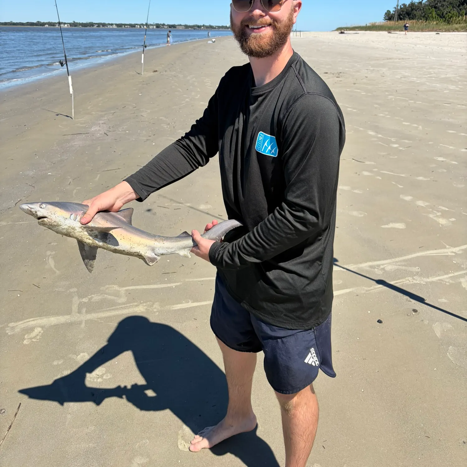 Blacktip shark caught on Fishbrain