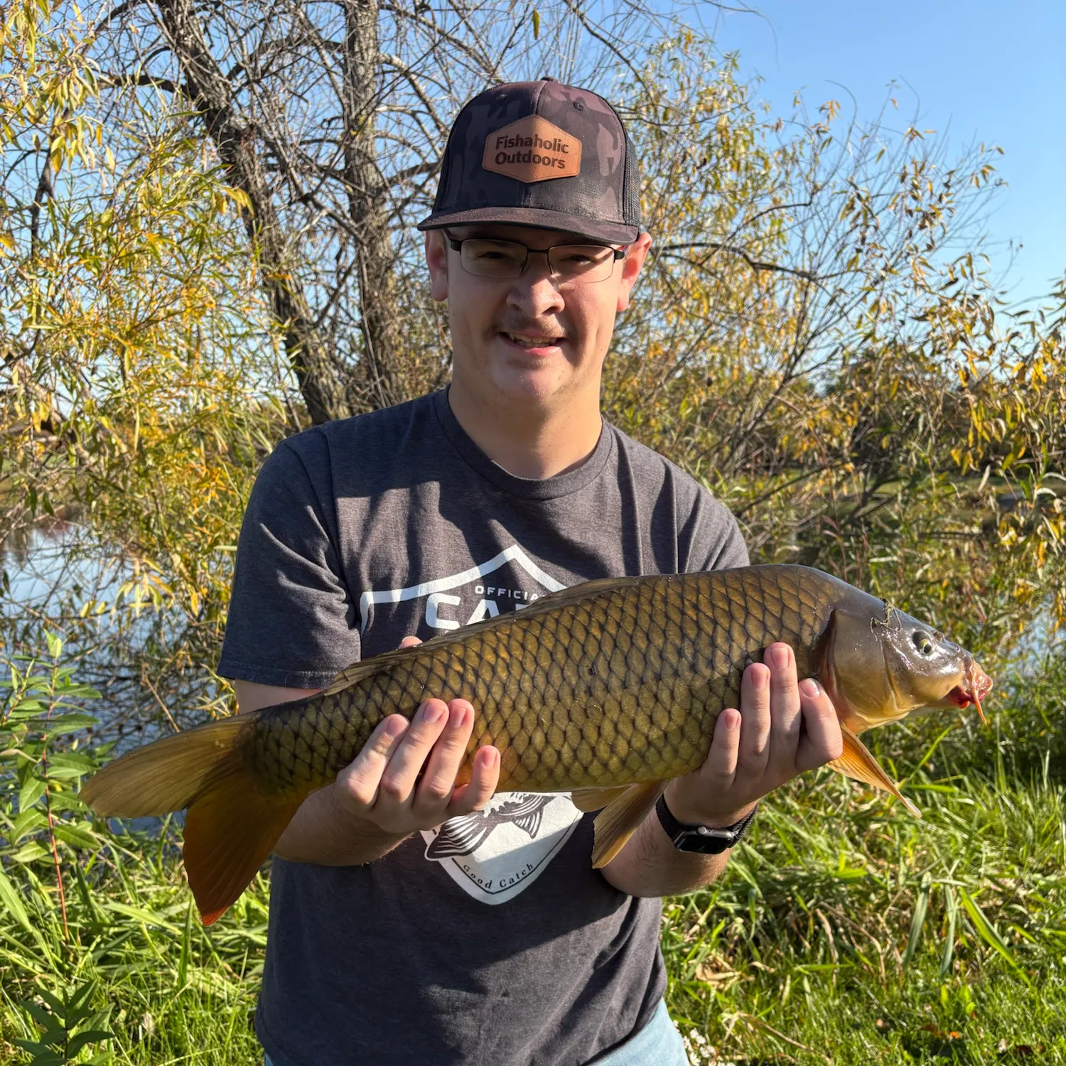 Common carp caught on Fishbrain