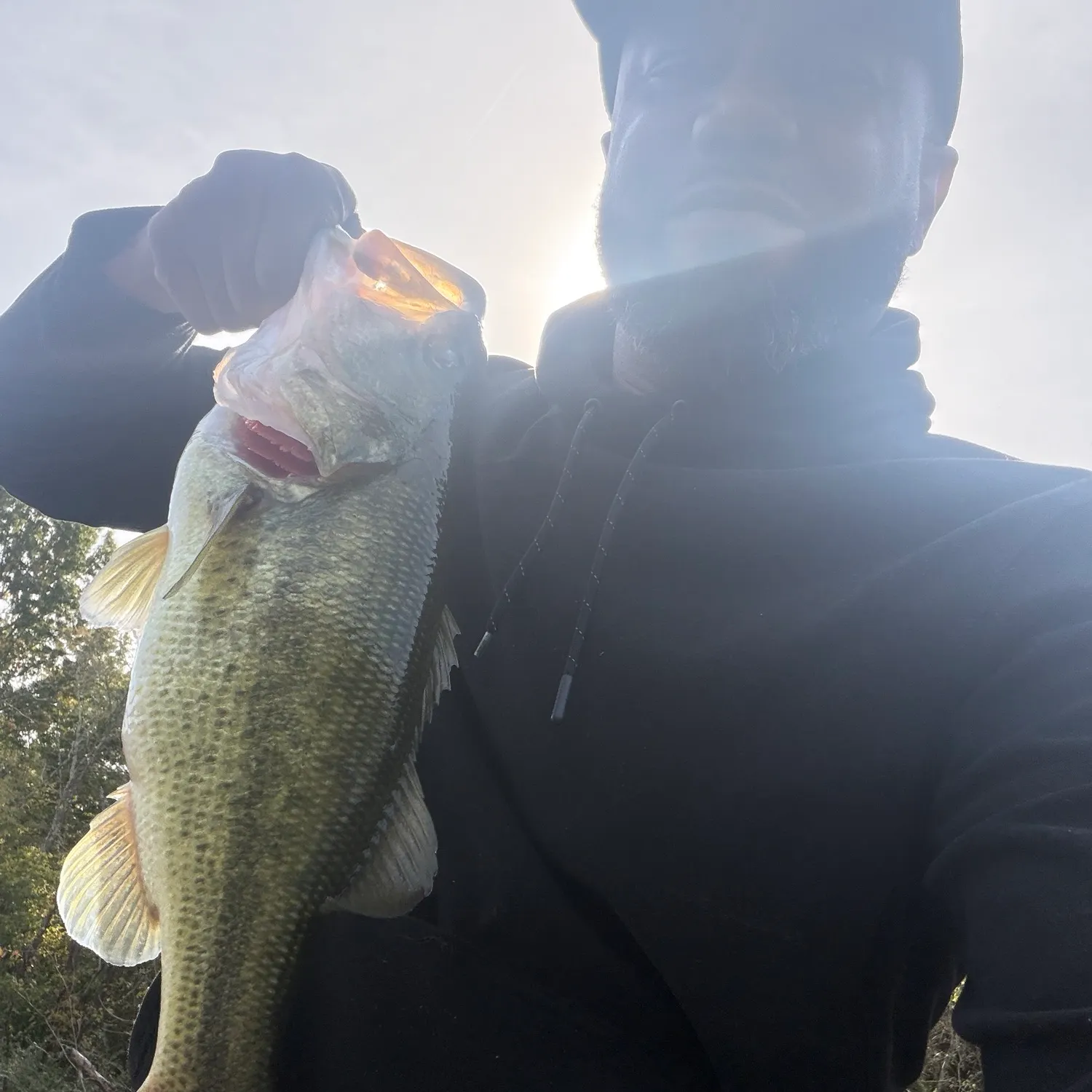 Largemouth bass caught on Fishbrain
