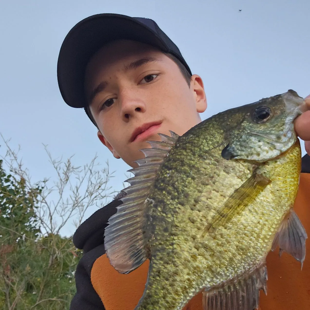 Bluegill caught on Fishbrain