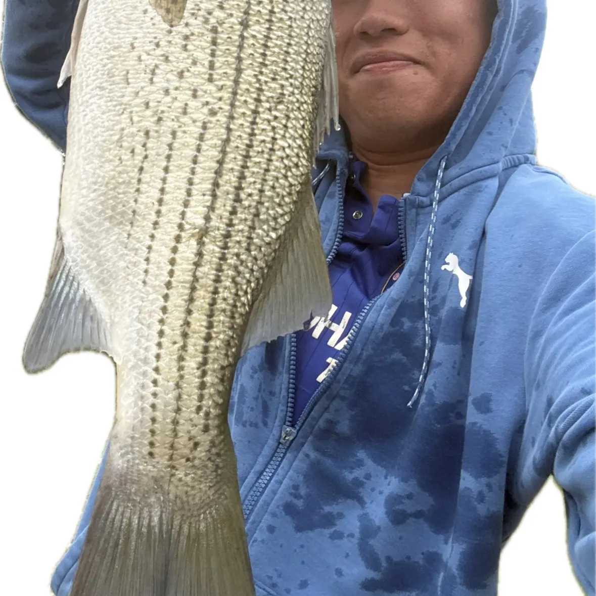 Wiper caught on Fishbrain