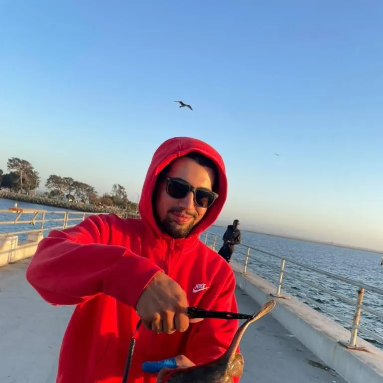 Atlantic stingray caught on Fishbrain