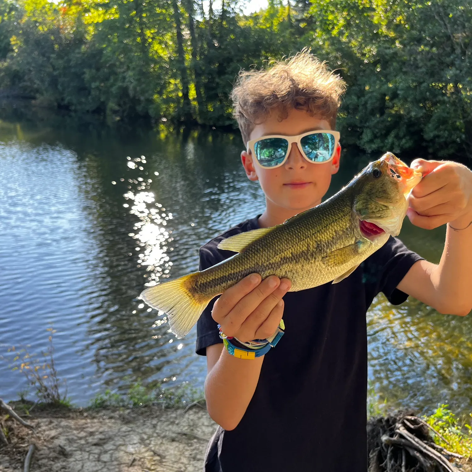 Largemouth bass caught on Fishbrain