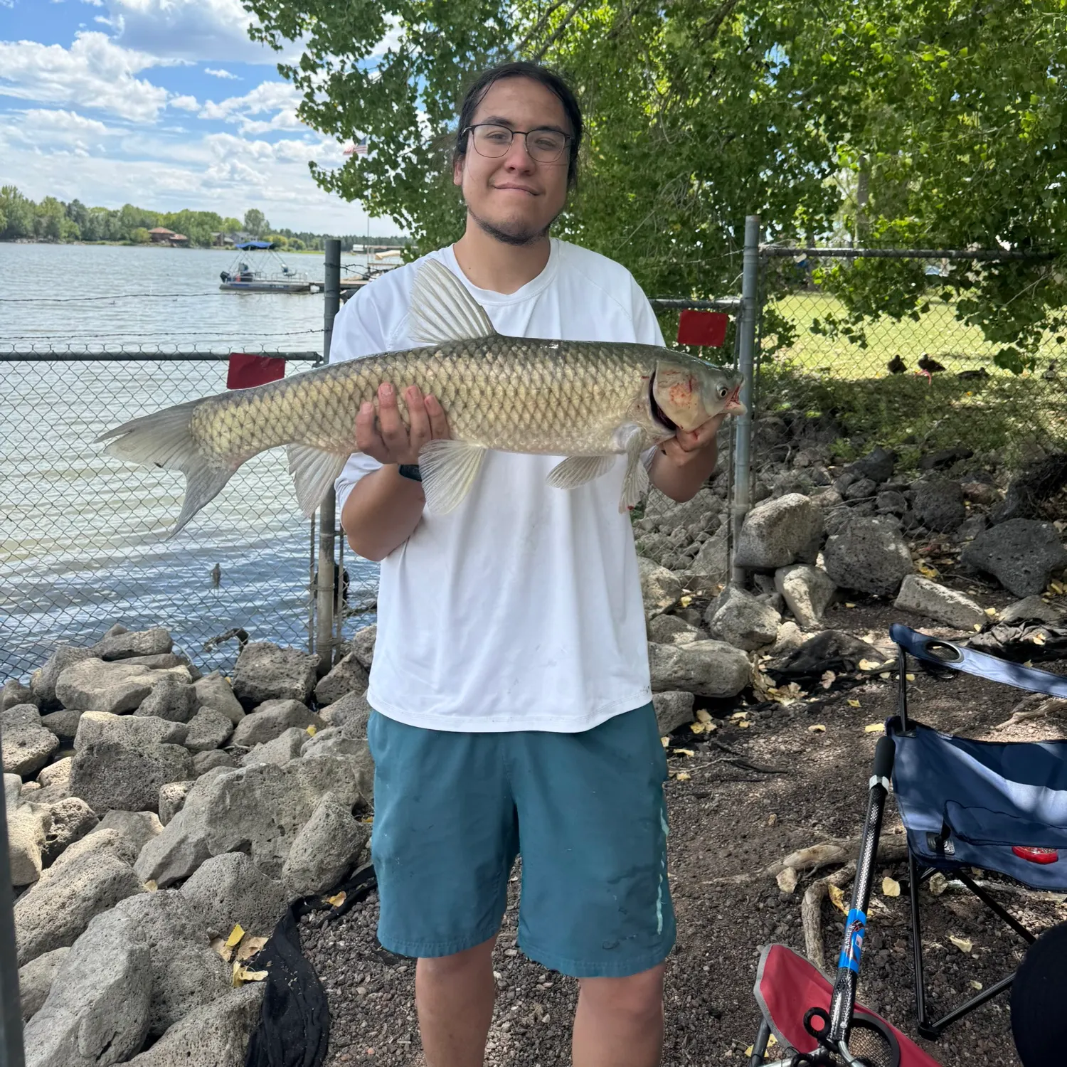 Grass carp caught on Fishbrain