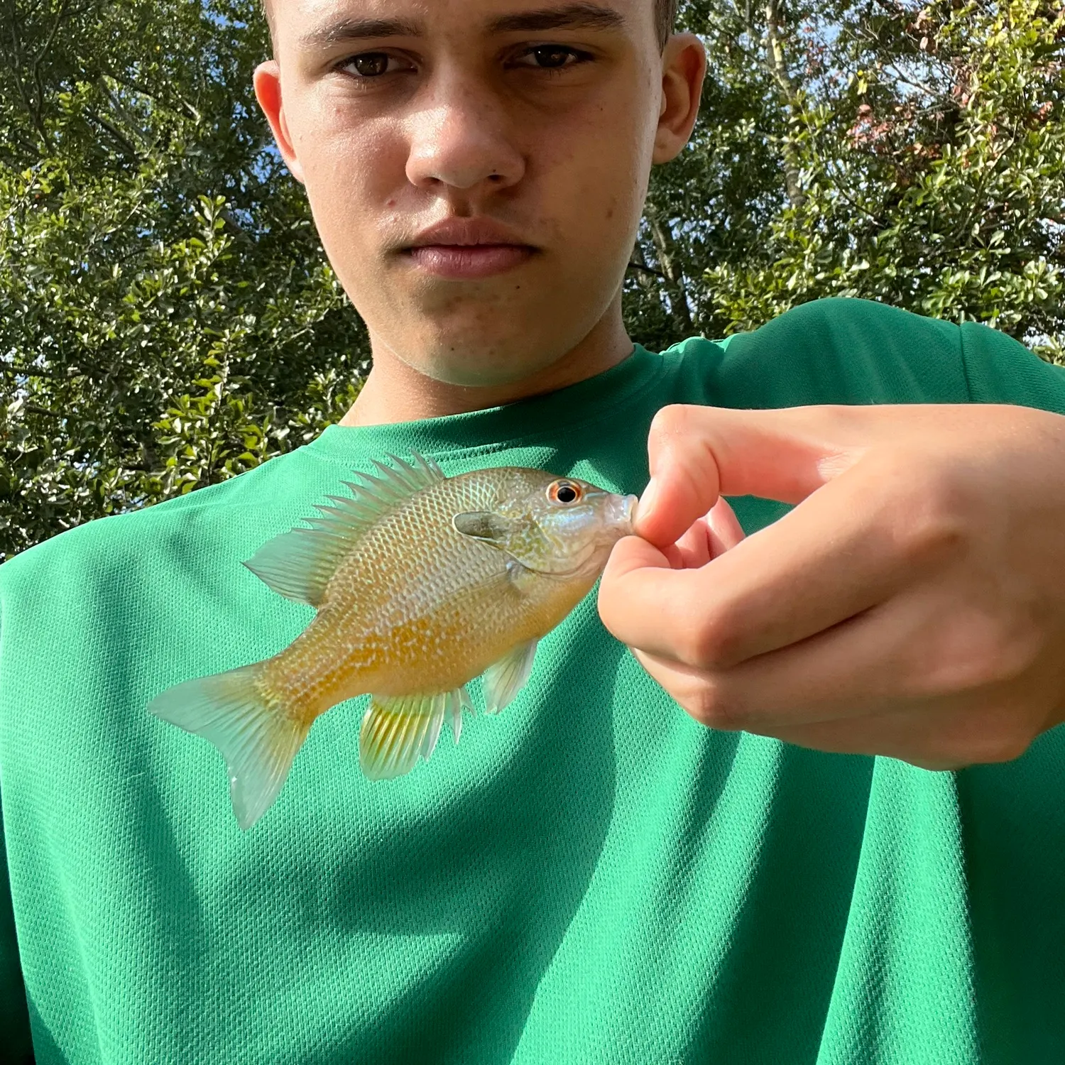 The most recent Longear sunfish catches on Fishbrain