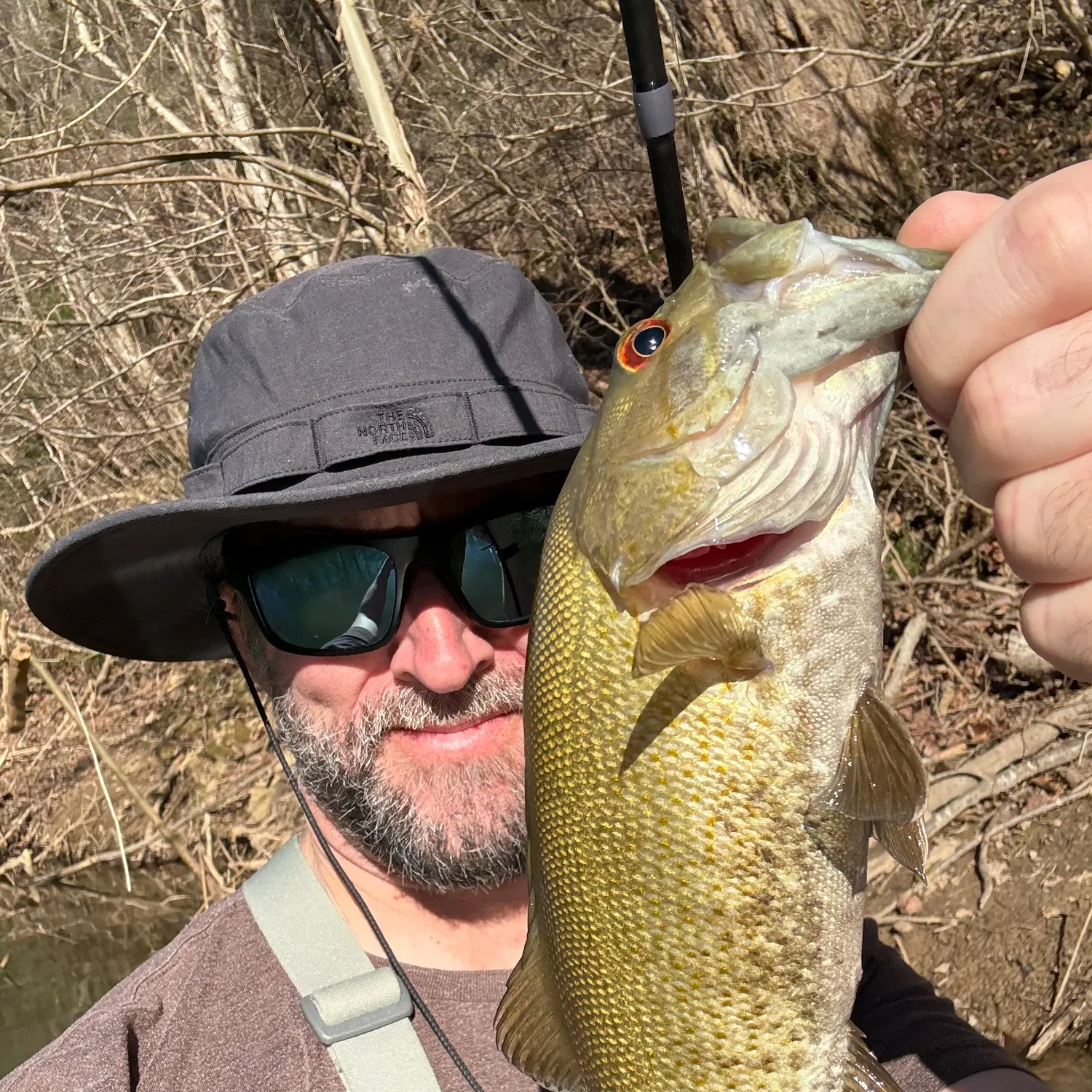 The most recent Smallmouth bass catches on Fishbrain