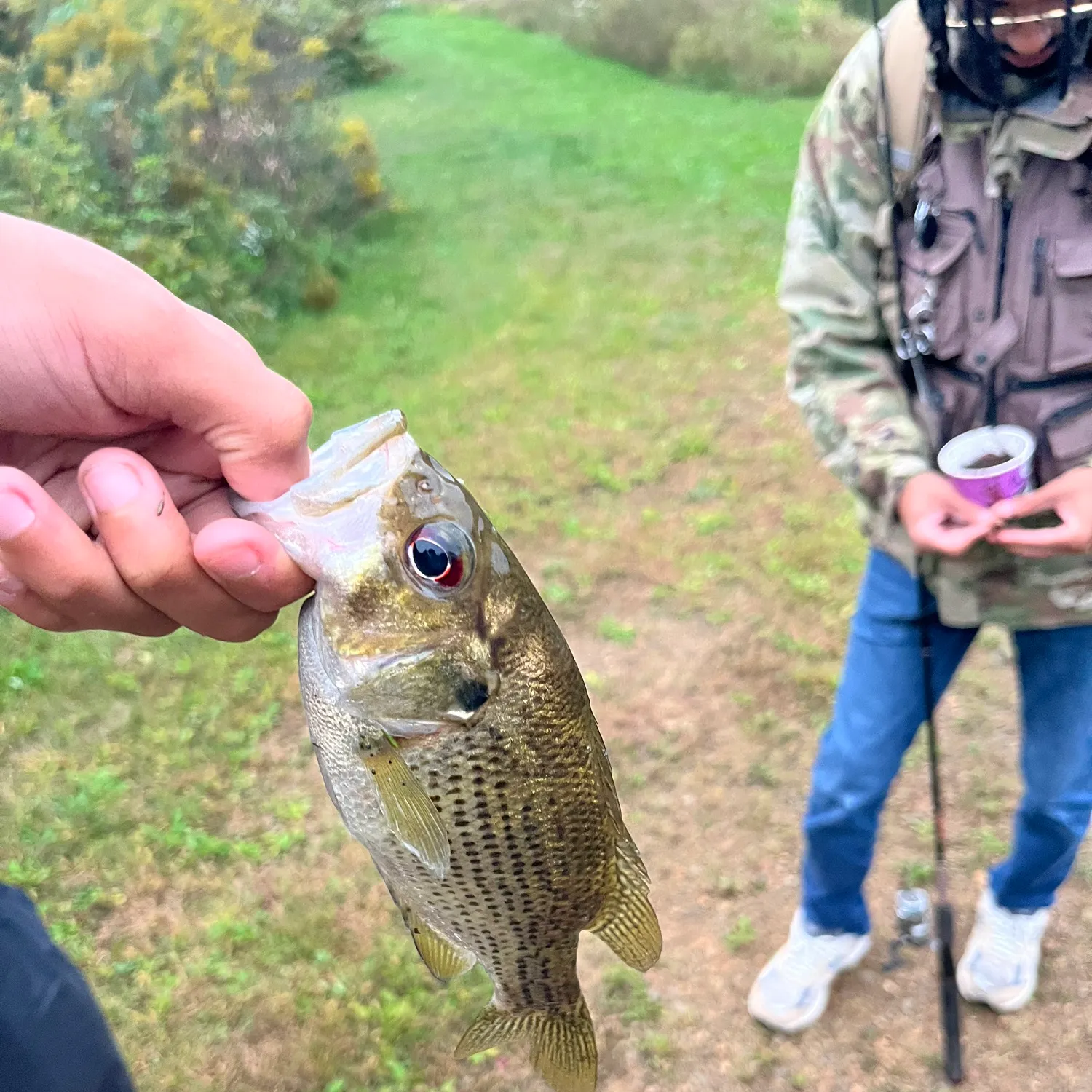 catch