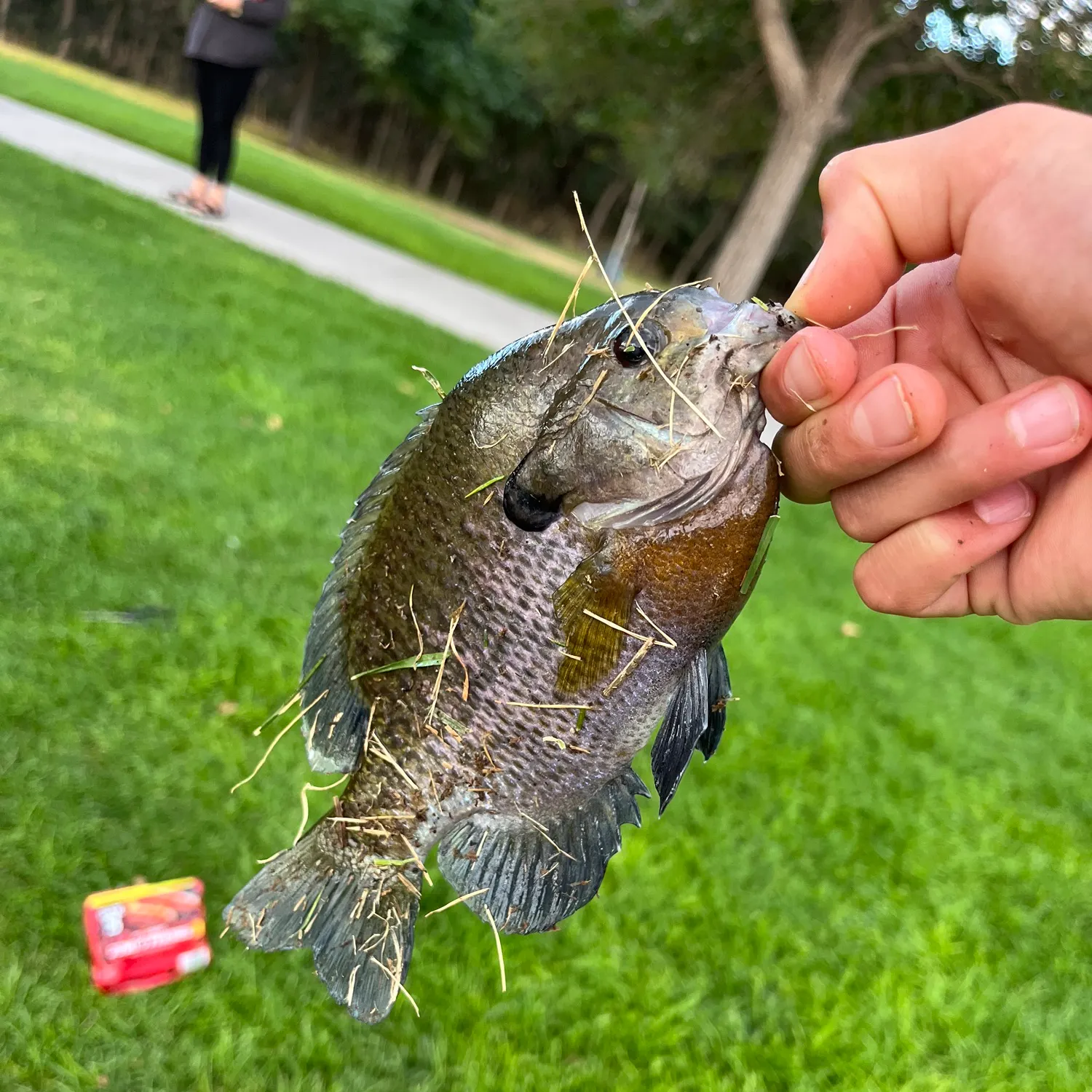 catch