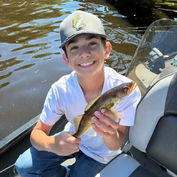 Walleye caught on Fishbrain