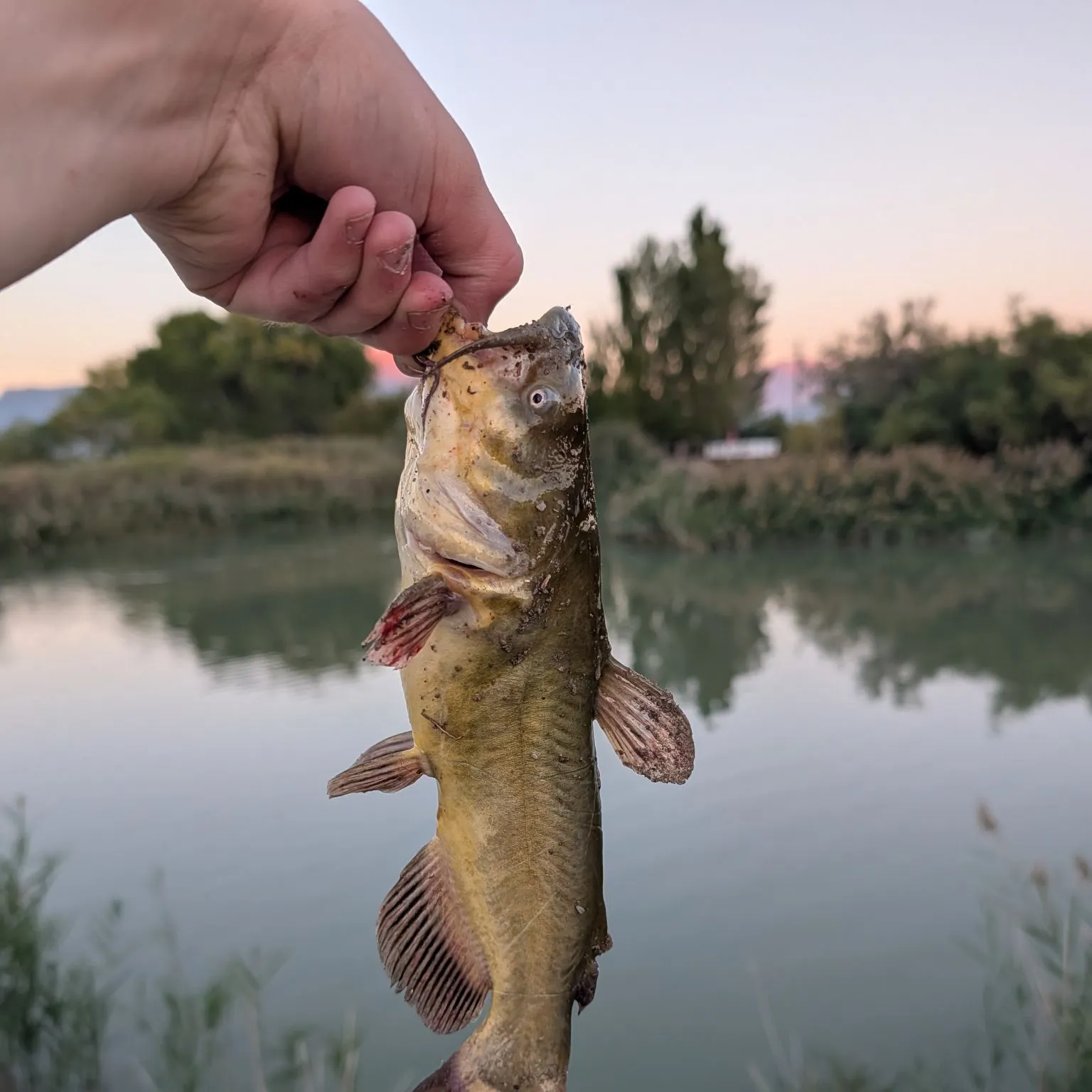 catch
