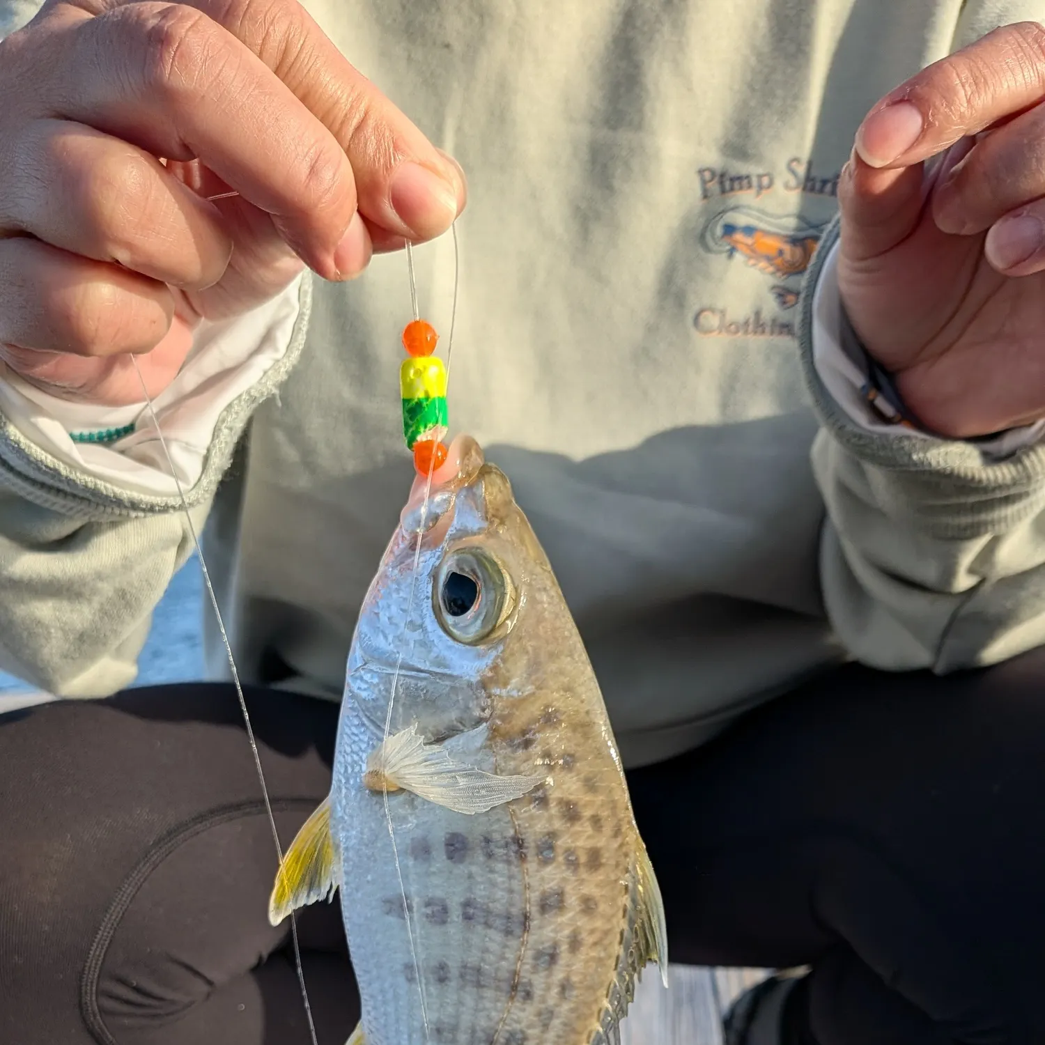 The most recent Yellowfin mojarra catches on Fishbrain