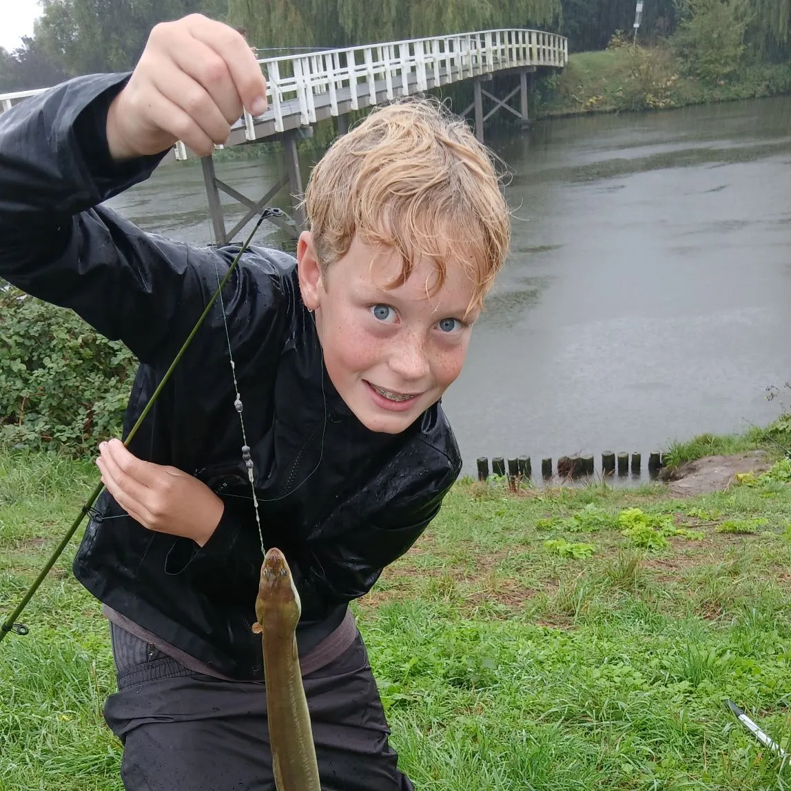 The most recent European eel catches on Fishbrain