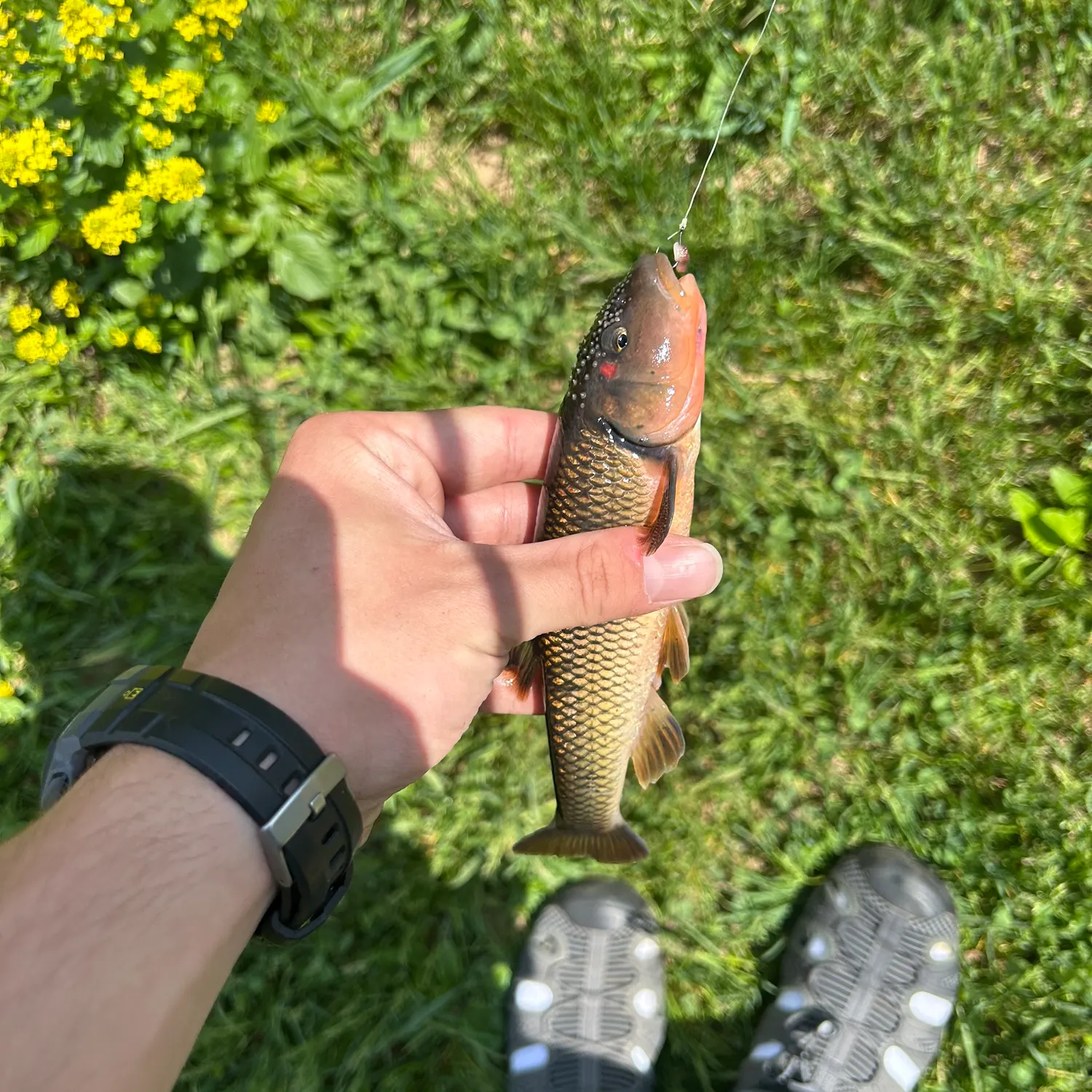 catch