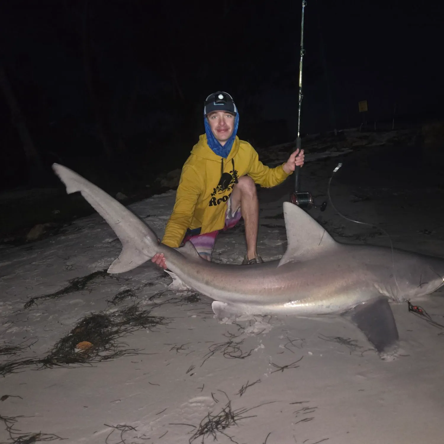The most recent Bull shark catches on Fishbrain