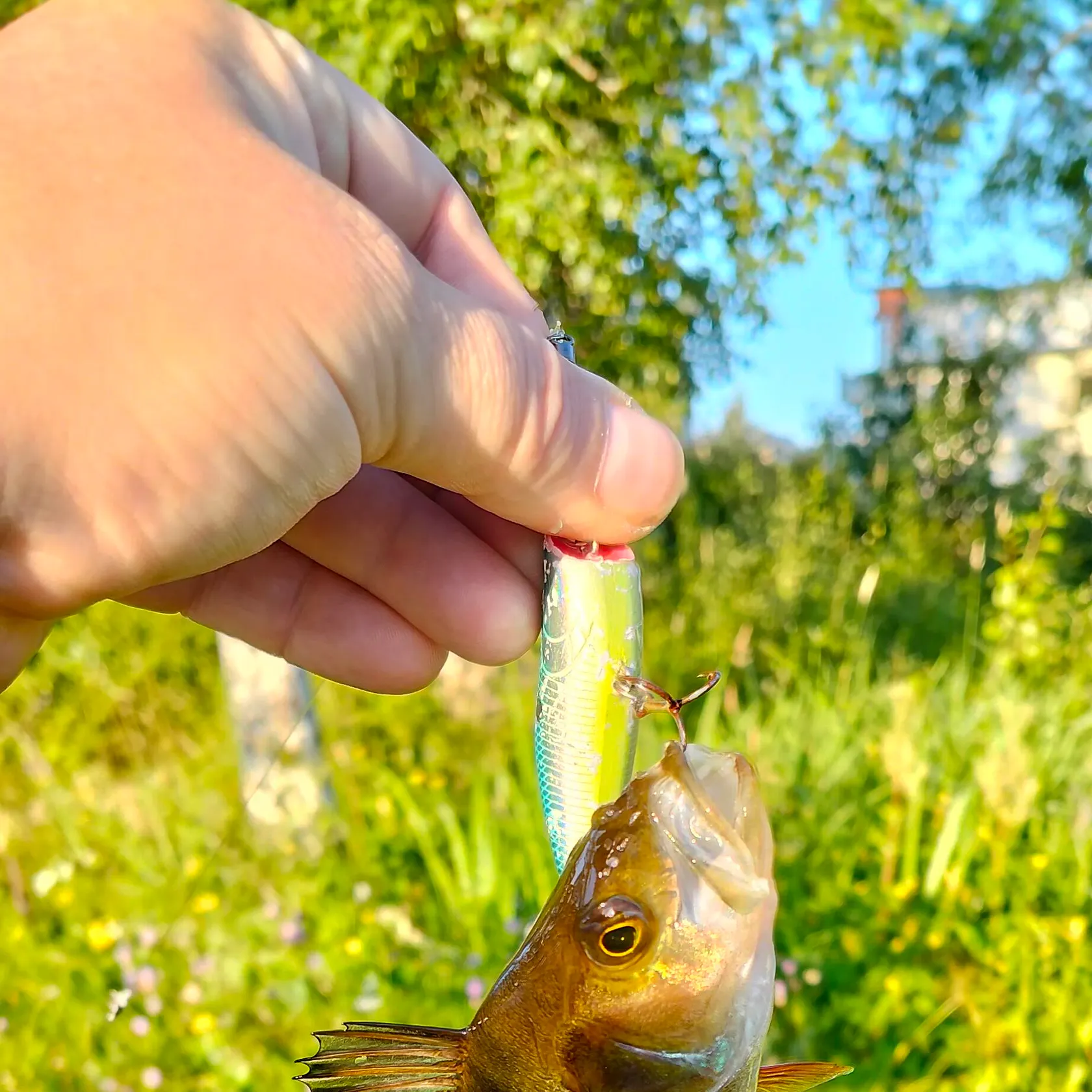 catch