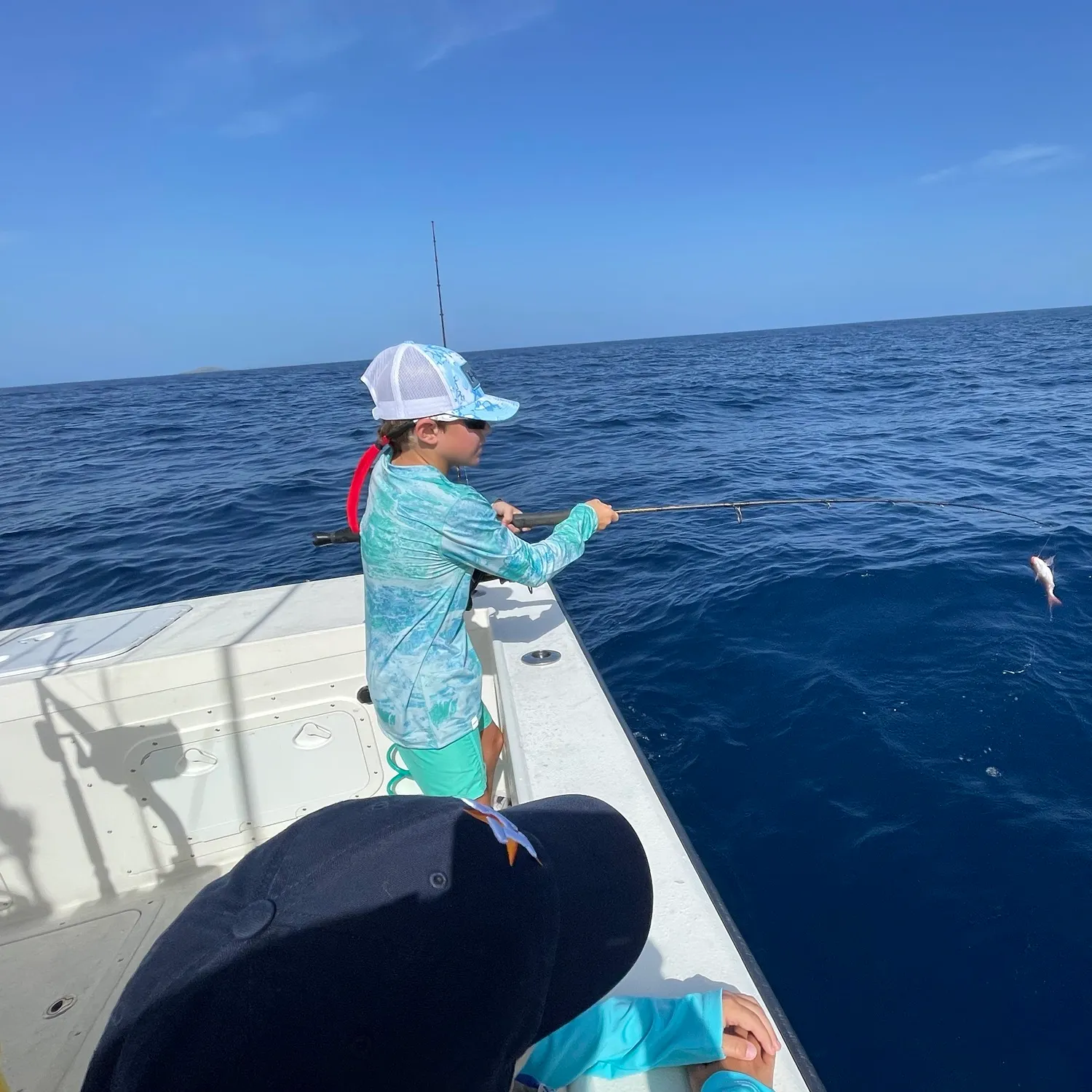 The most recent Northern red snapper catches on Fishbrain