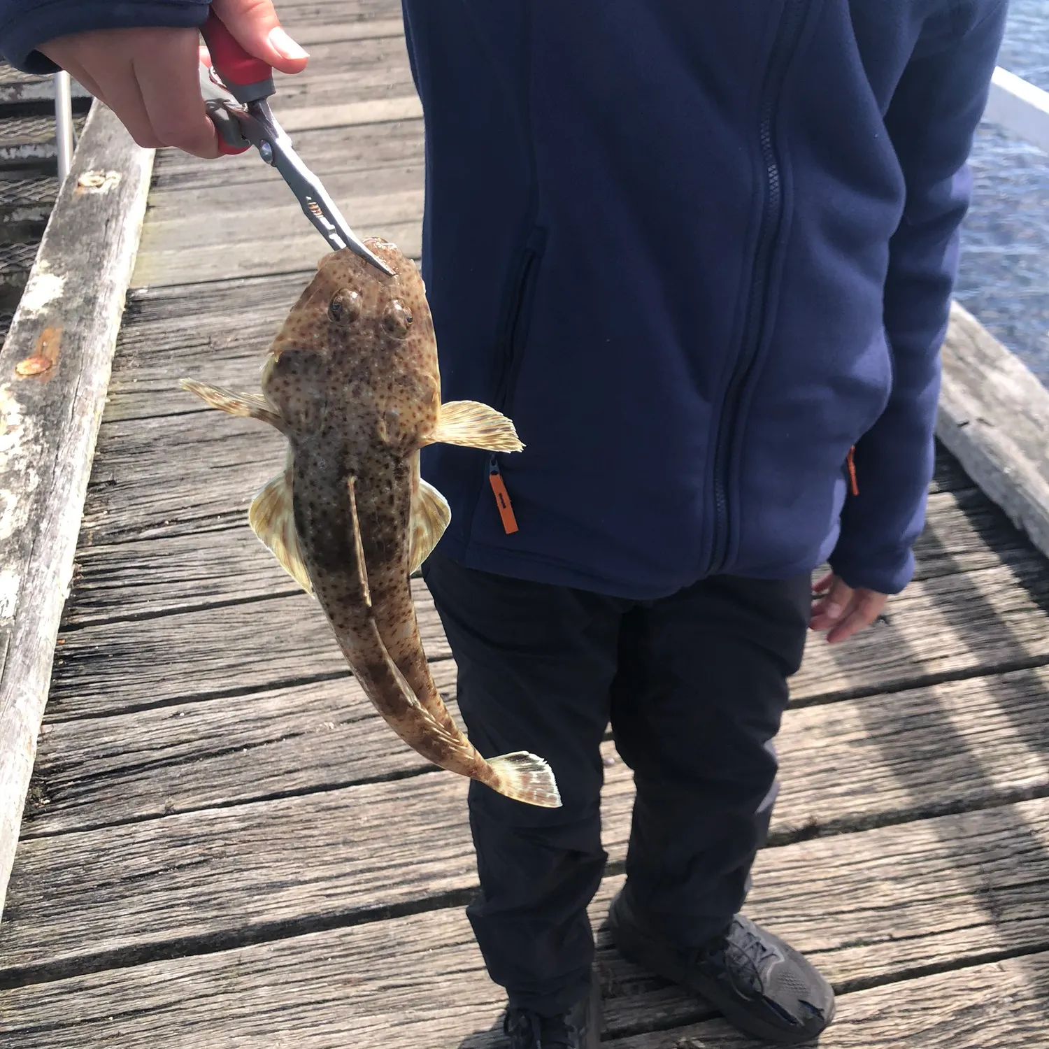 catch
