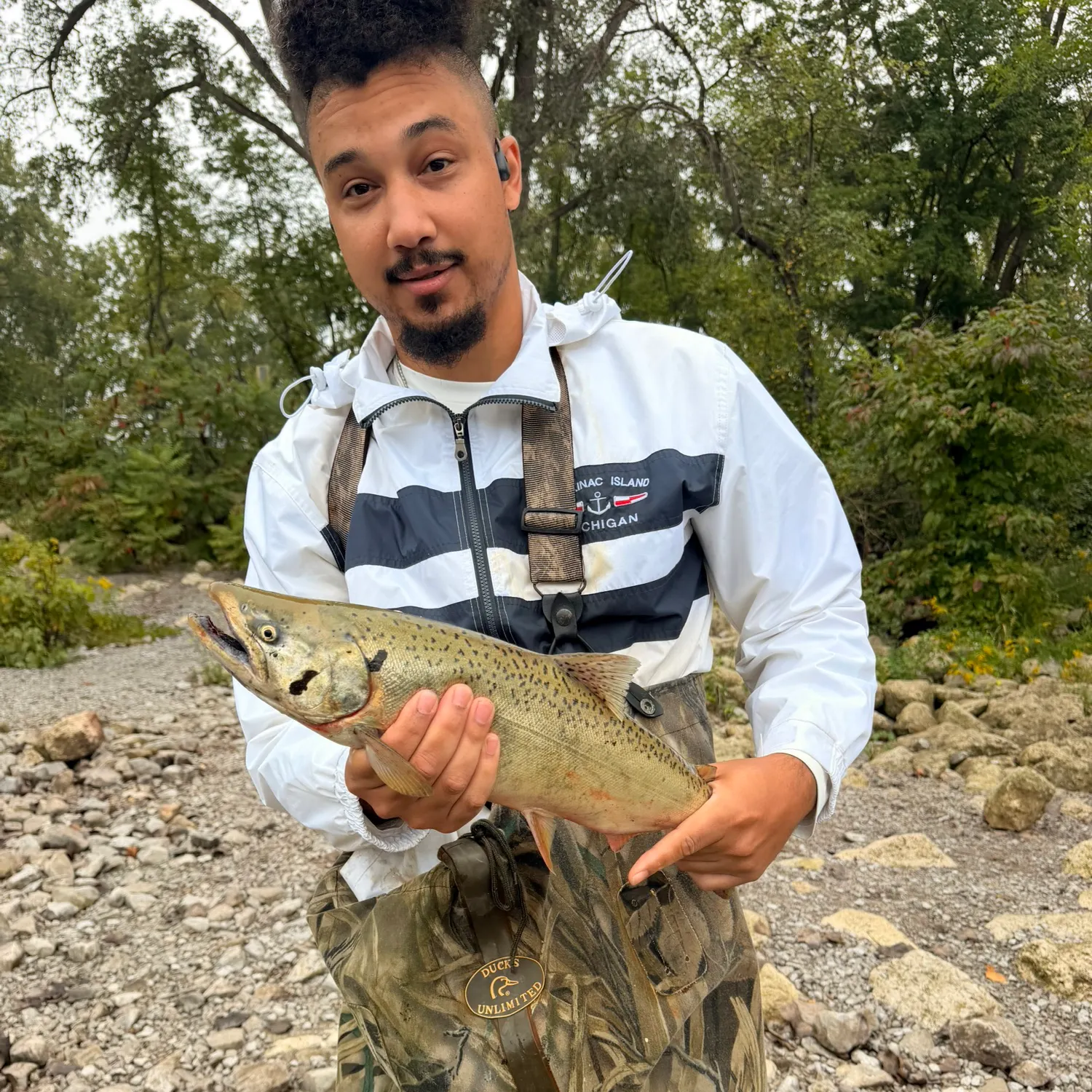 Pink salmon caught on Fishbrain