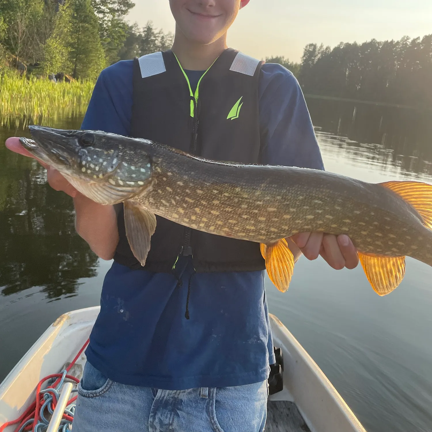 The most recent Northern pike catches on Fishbrain