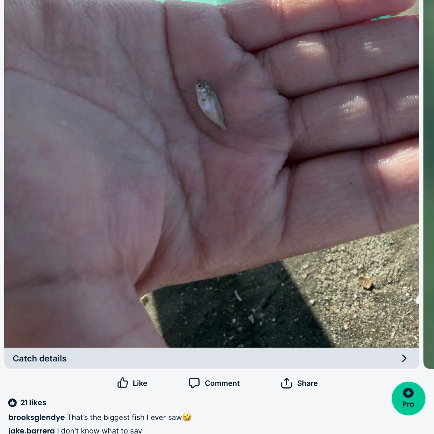 Fish caught on Fishbrain