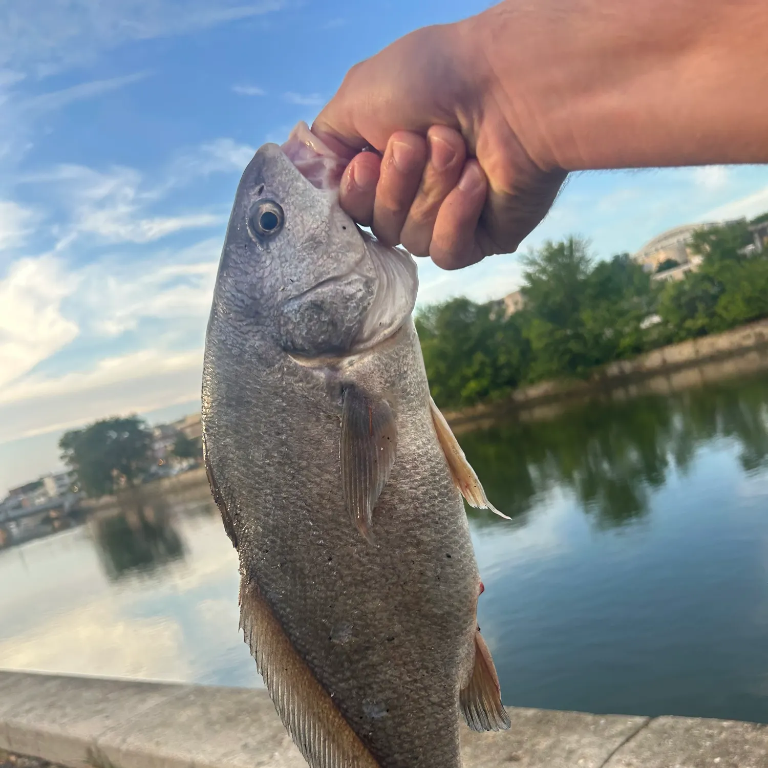 catch