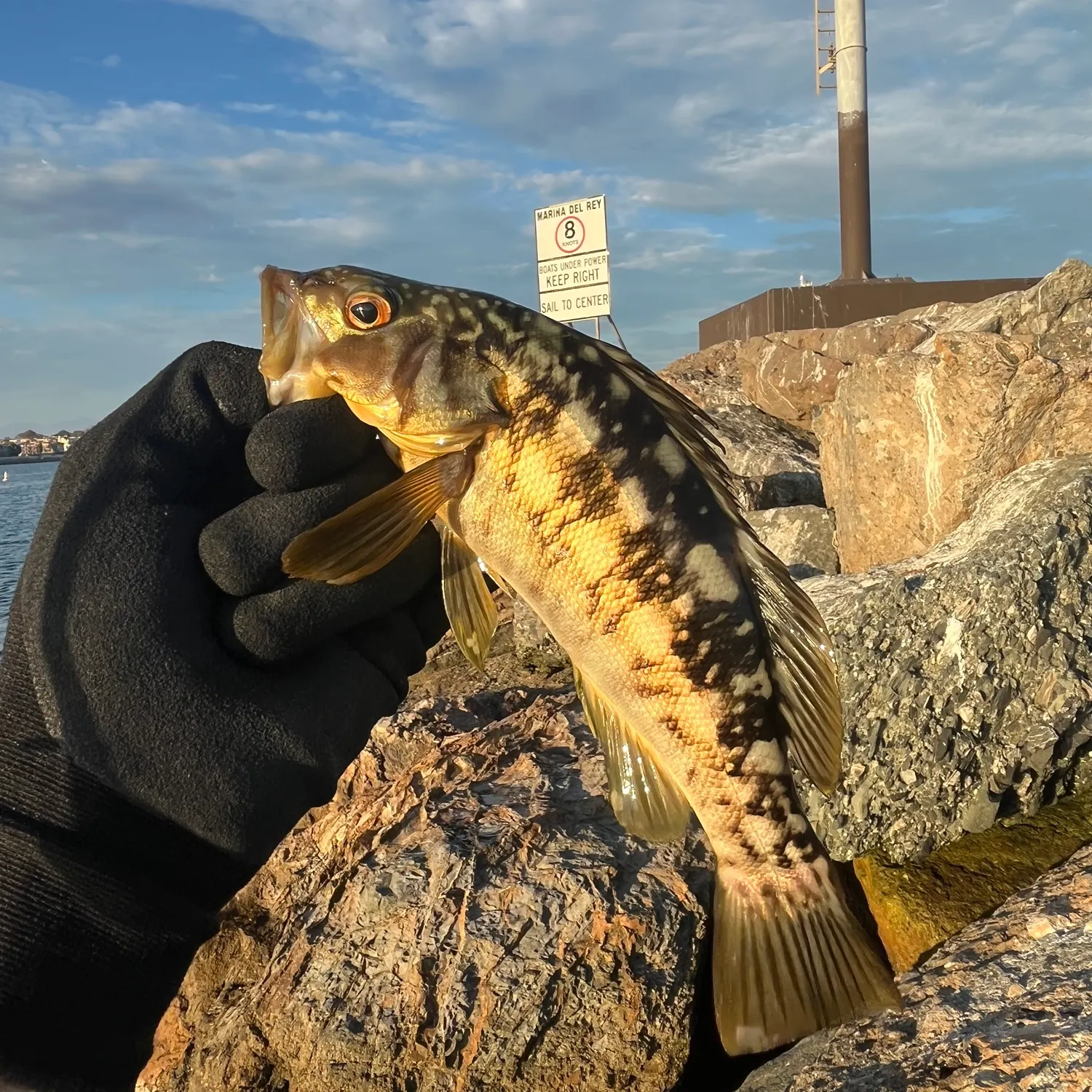 catch