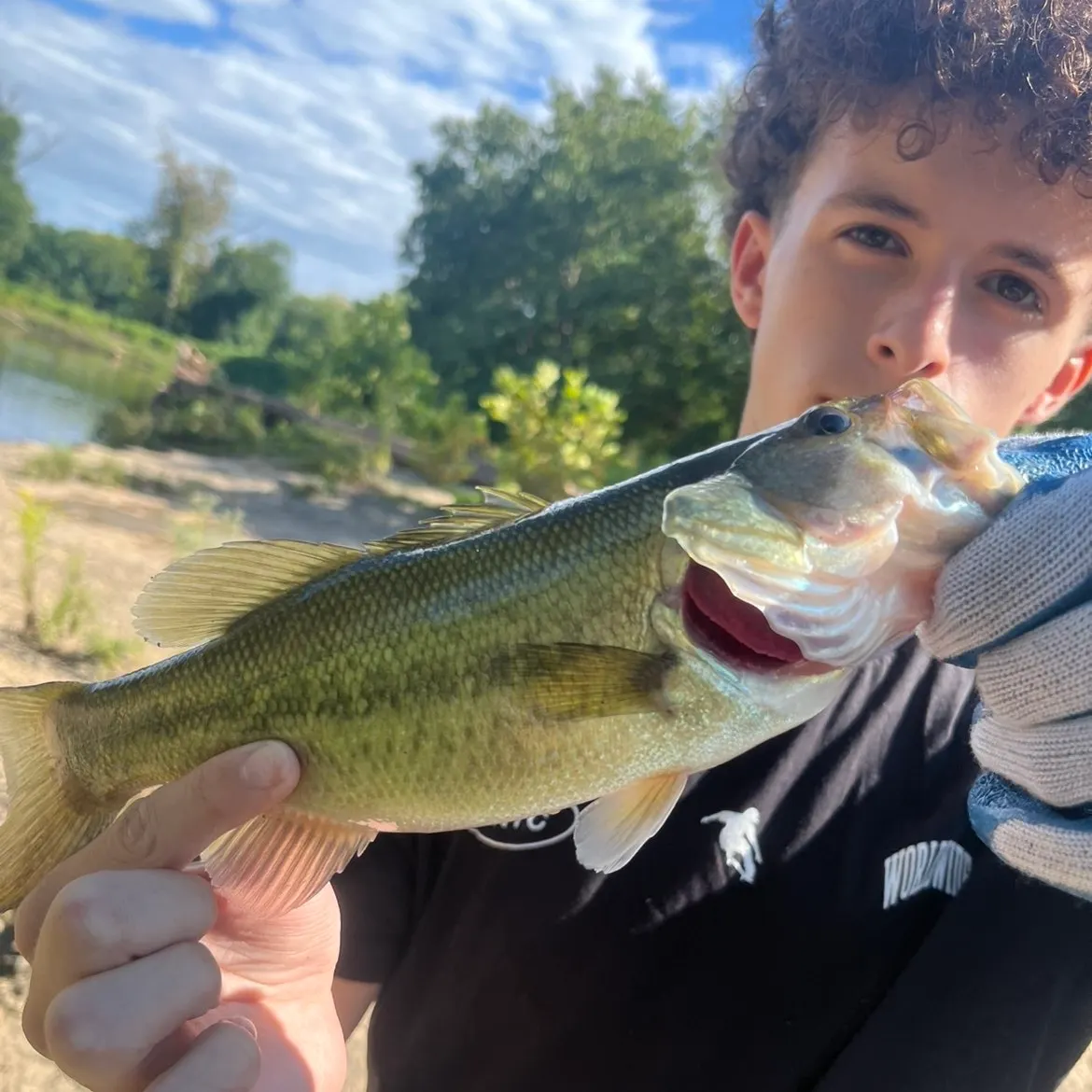 Largemouth bass caught on Fishbrain