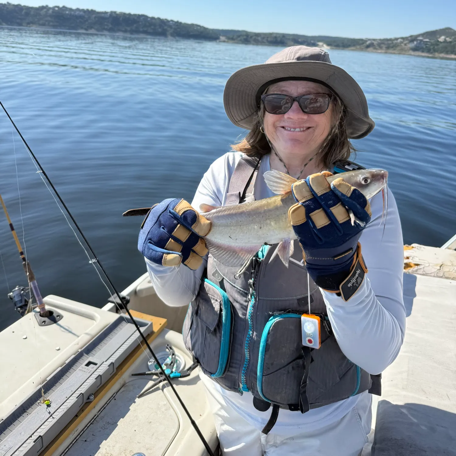 Channel catfish caught on Fishbrain