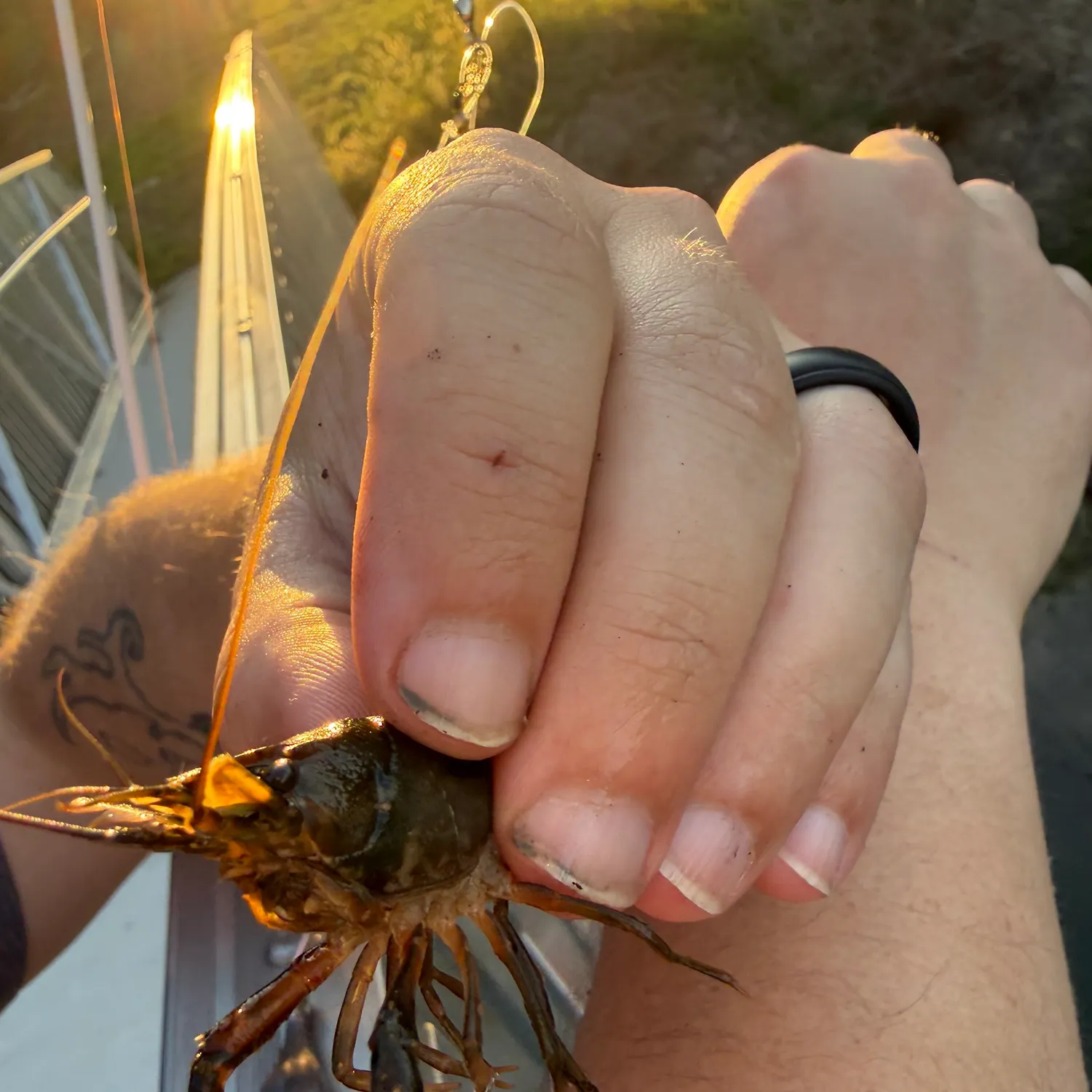 catch