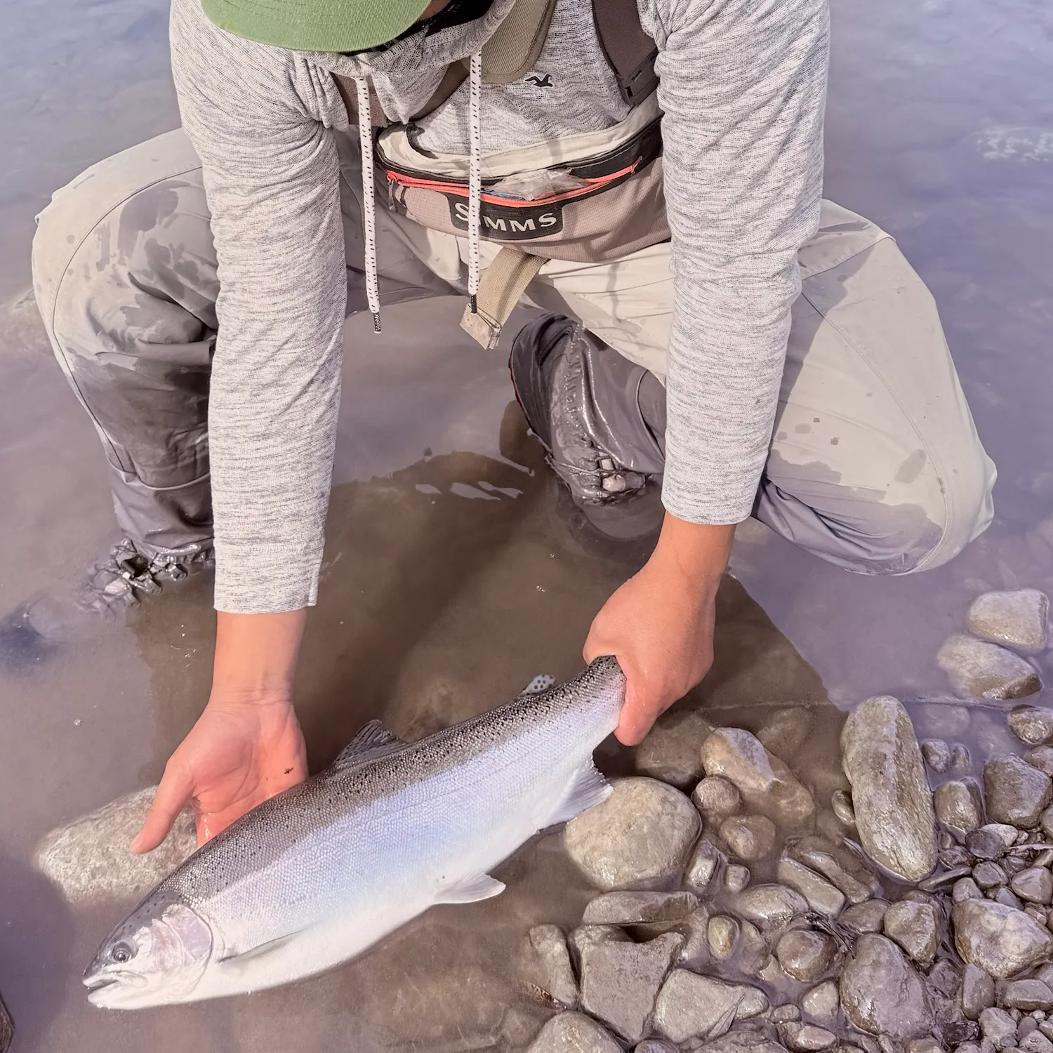 Fish caught on Fishbrain