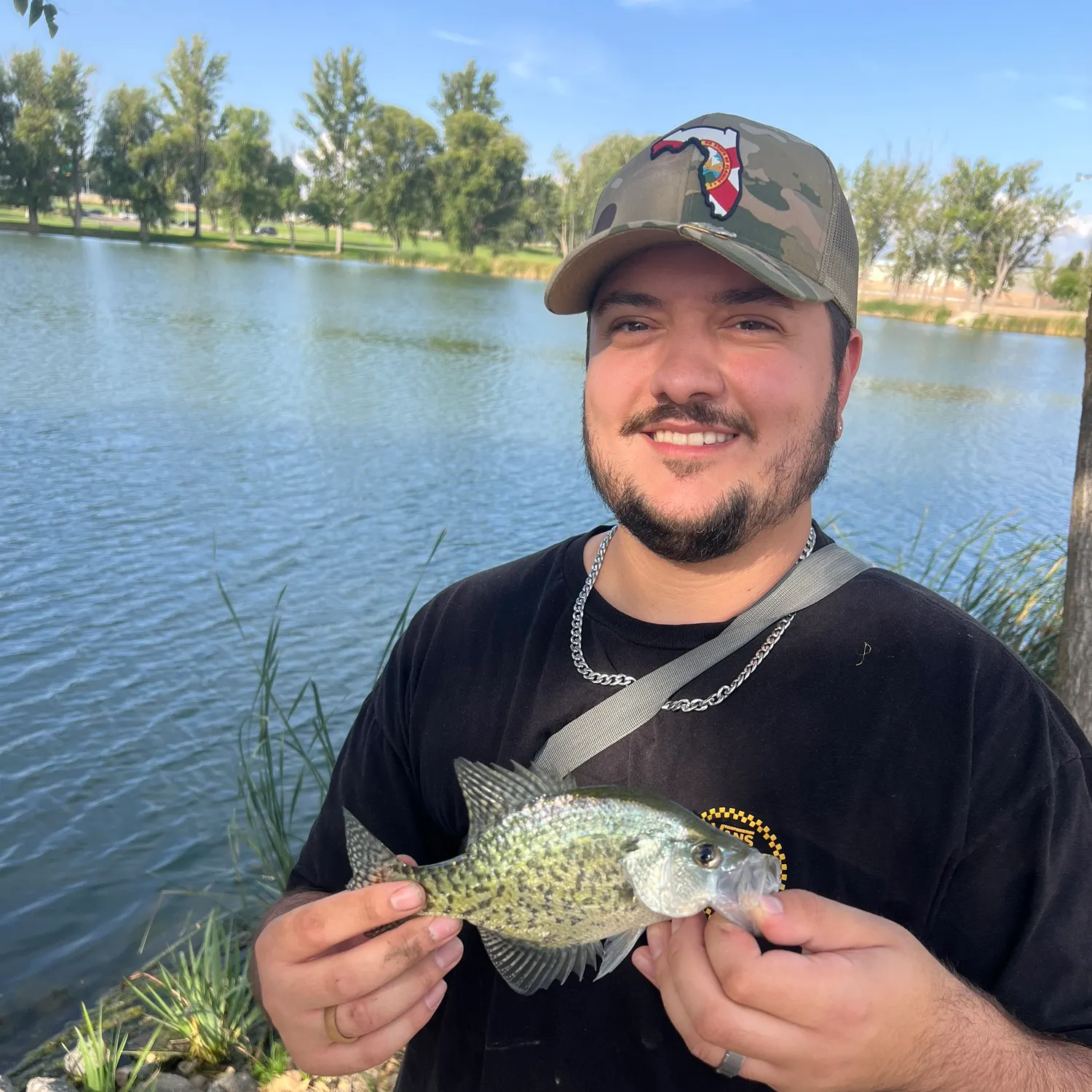 Black crappie caught on Fishbrain