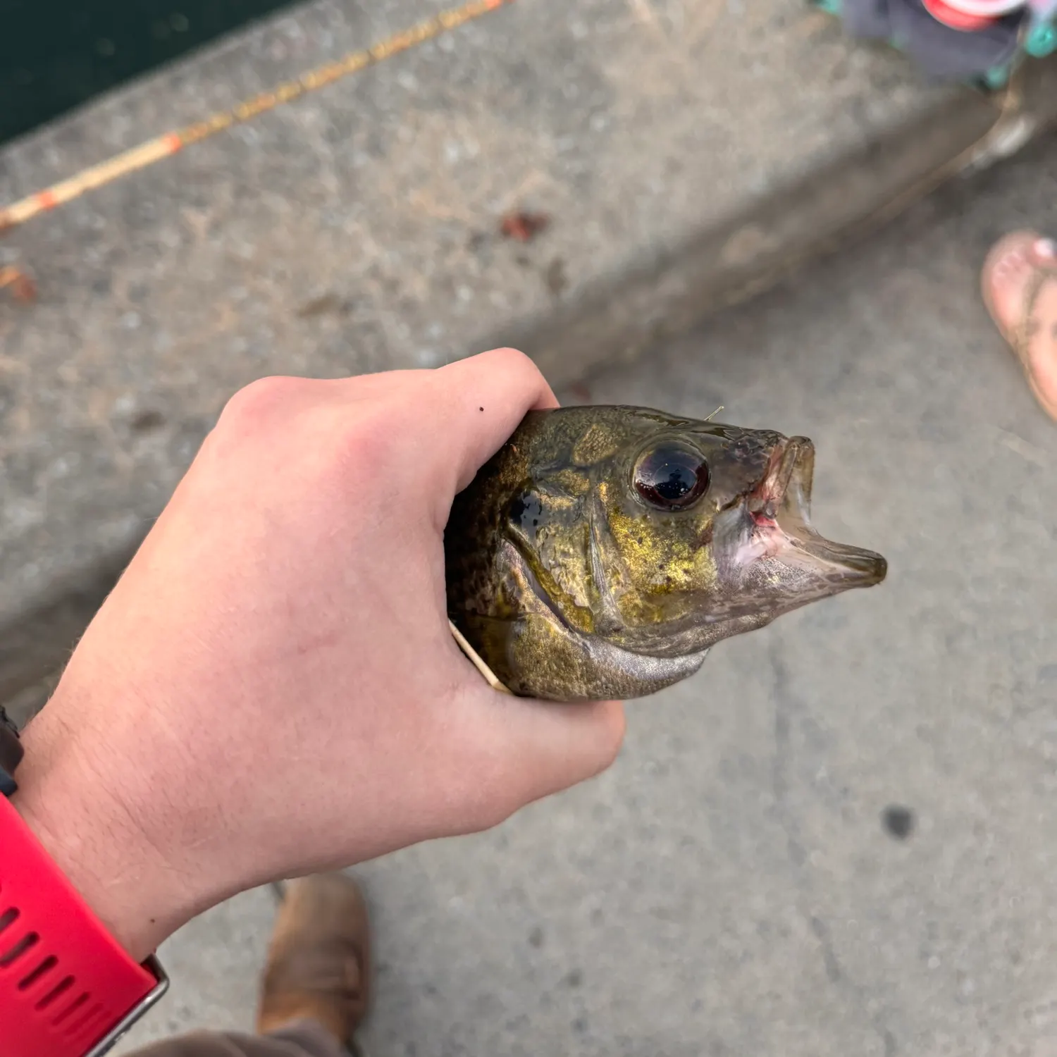 catch