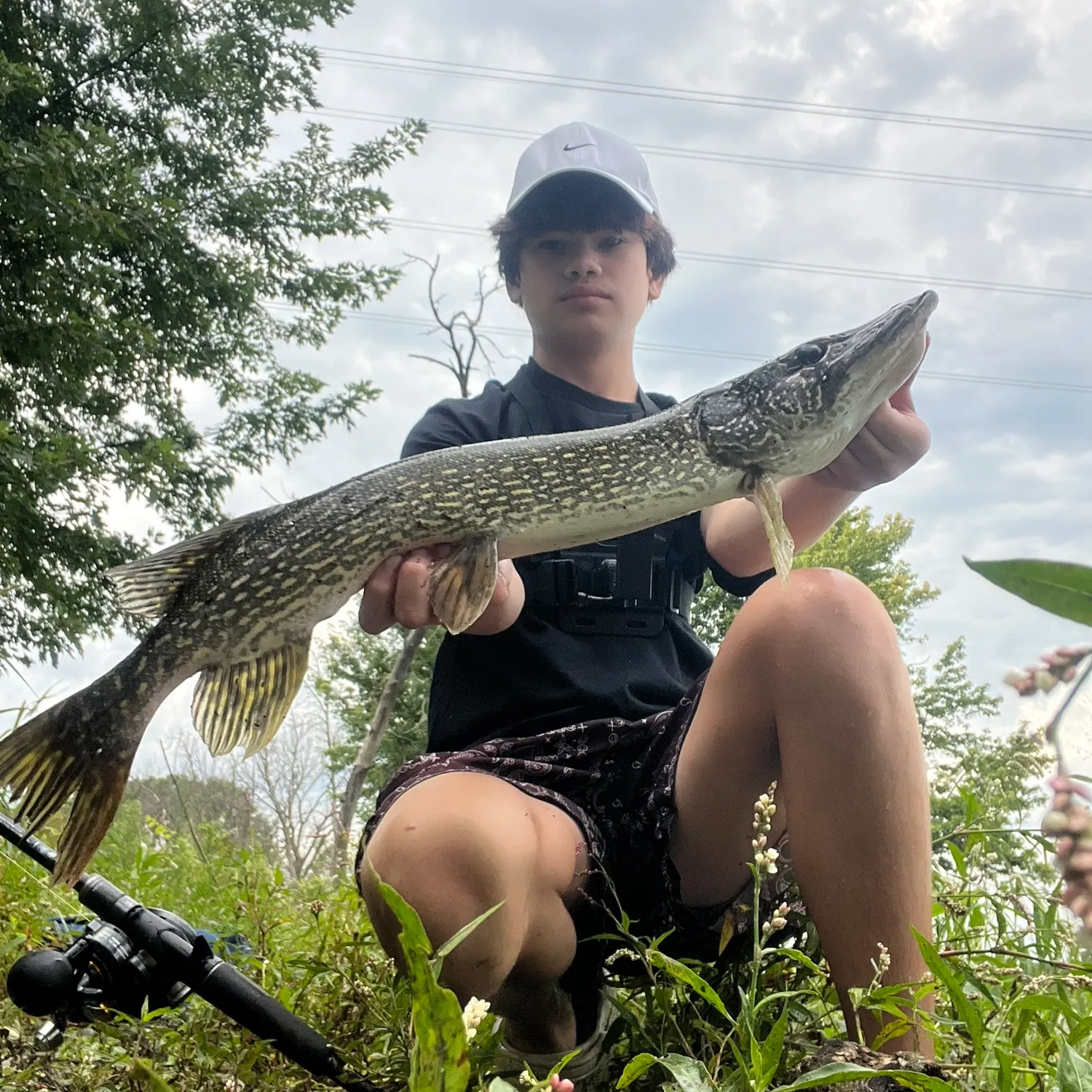 Northern pike caught on Fishbrain