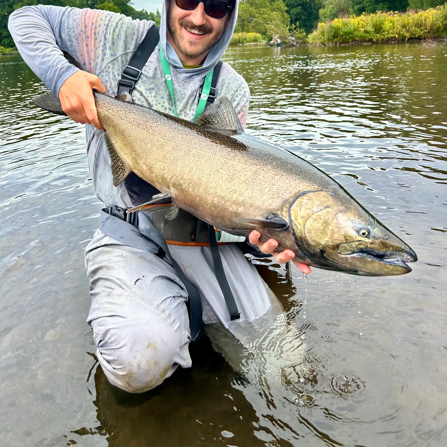 Chinook salmon caught on Fishbrain