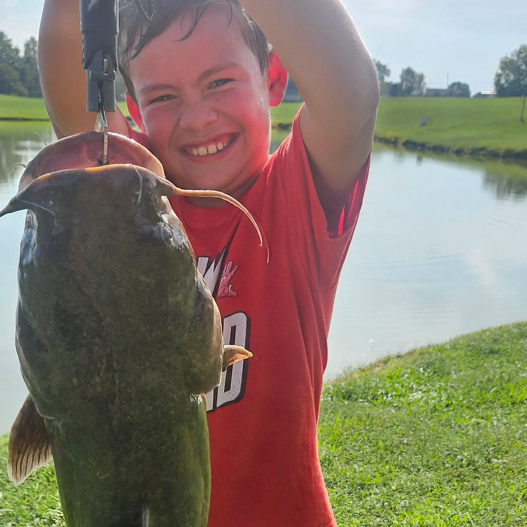 Flathead catfish caught on Fishbrain