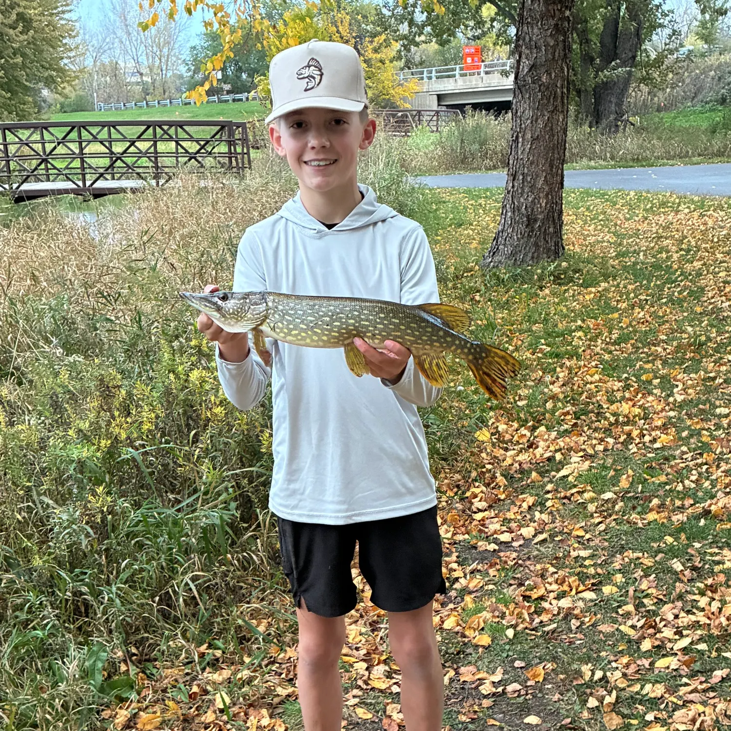 Northern pike caught on Fishbrain