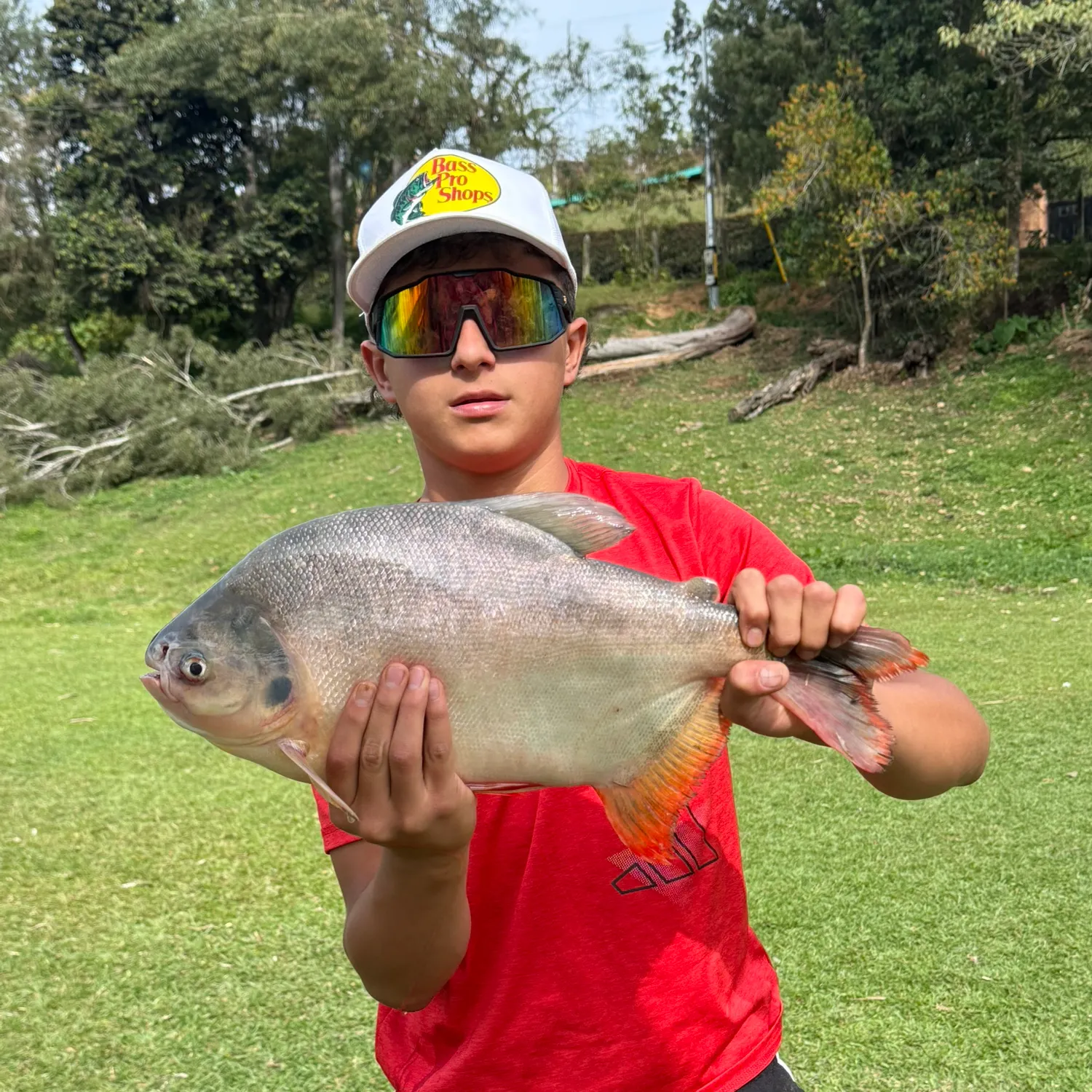 The most recent Small-scaled pacu catches on Fishbrain