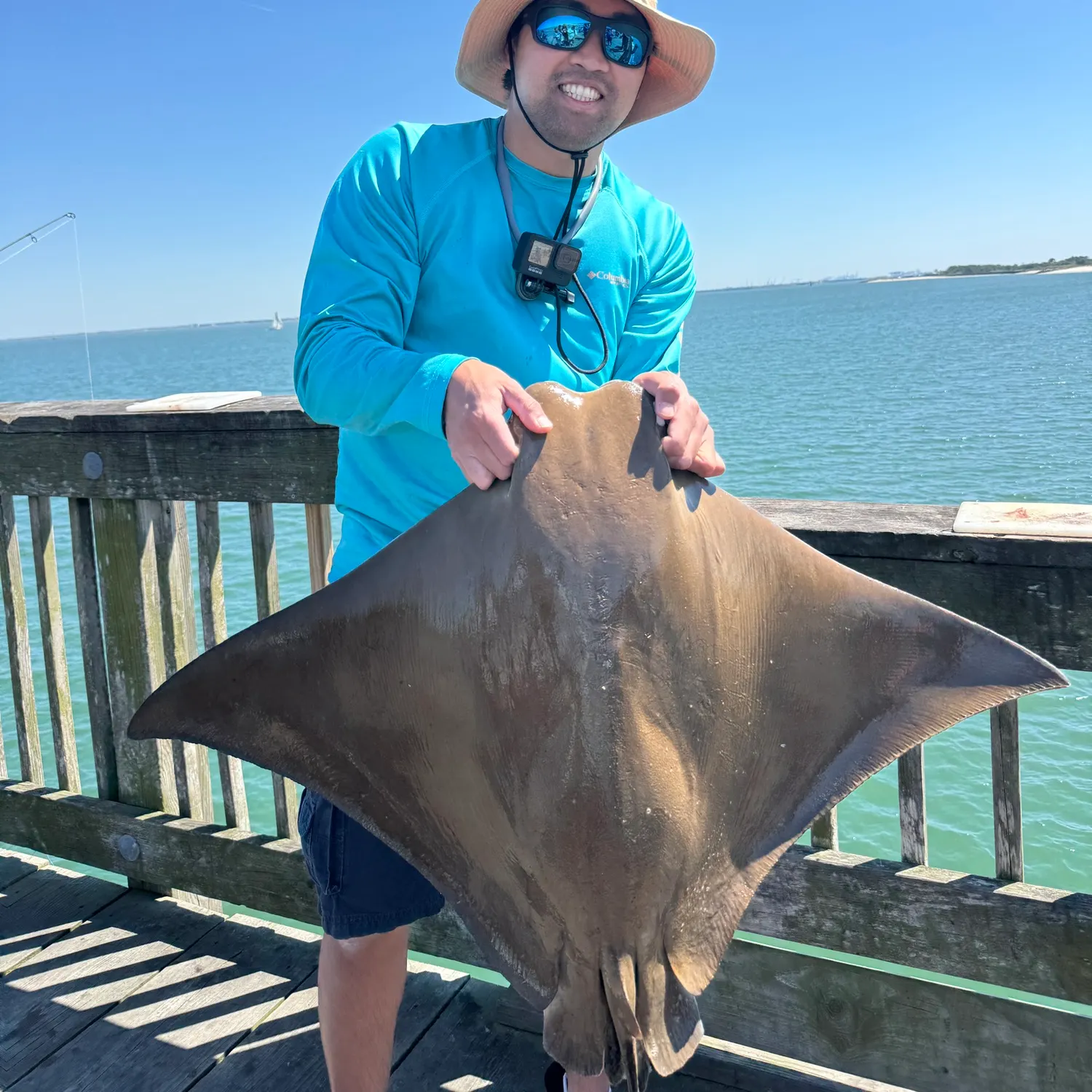 The most recent Cownose Ray catches on Fishbrain