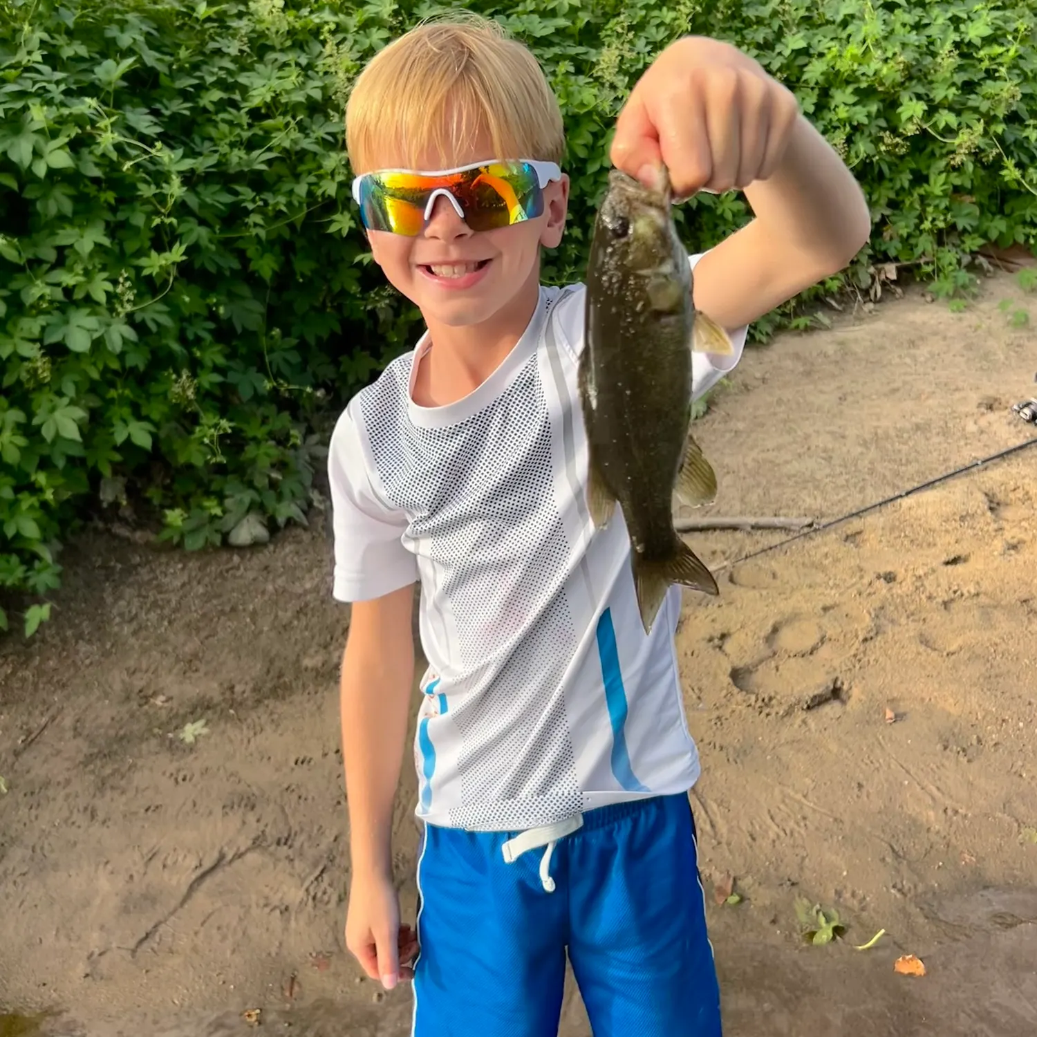 Smallmouth bass caught on Fishbrain