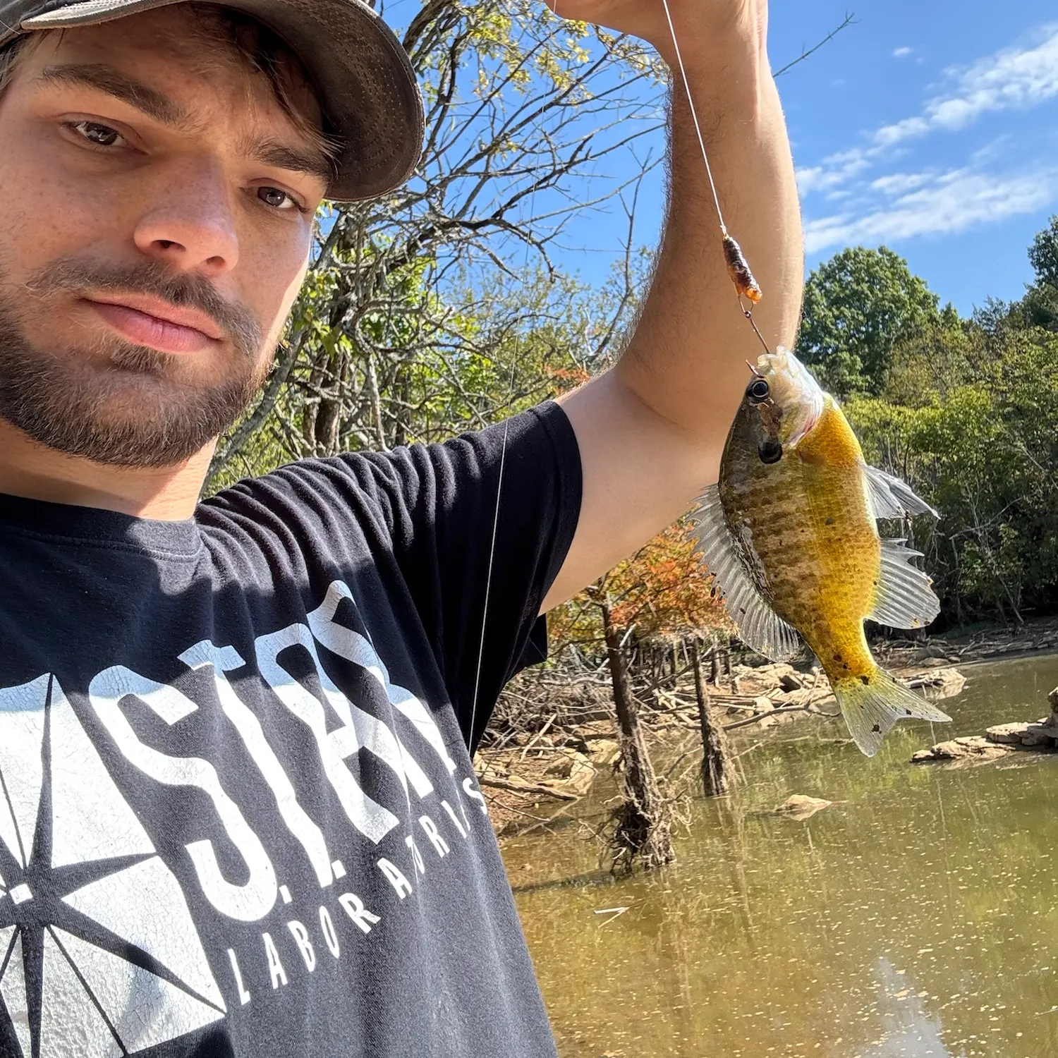 Bluegill caught on Fishbrain