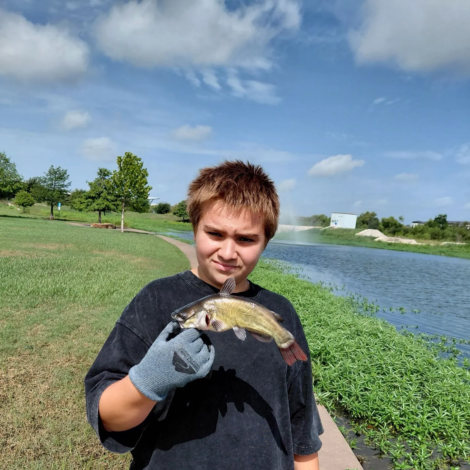 Black bullhead caught on Fishbrain