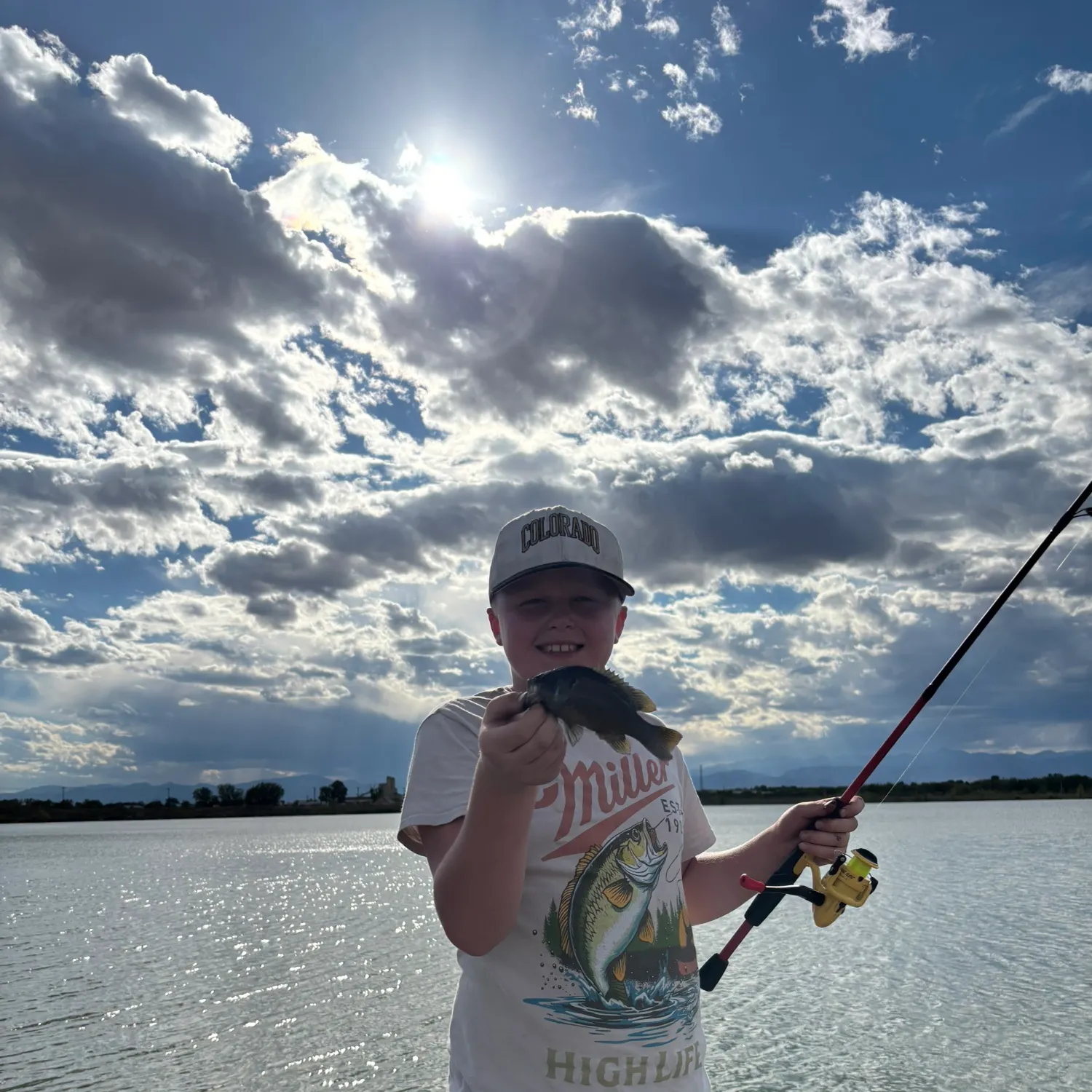 Bluegill caught on Fishbrain