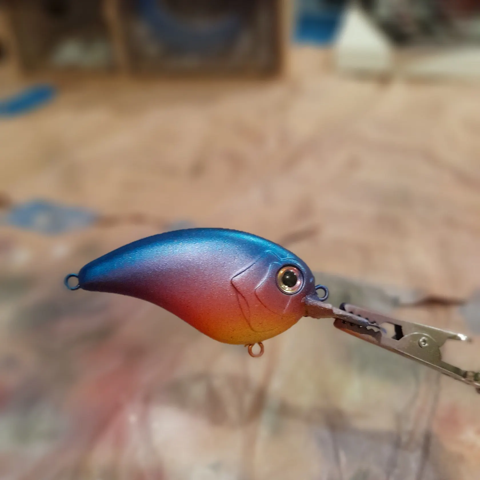 The most recent American gizzard shad catches on Fishbrain