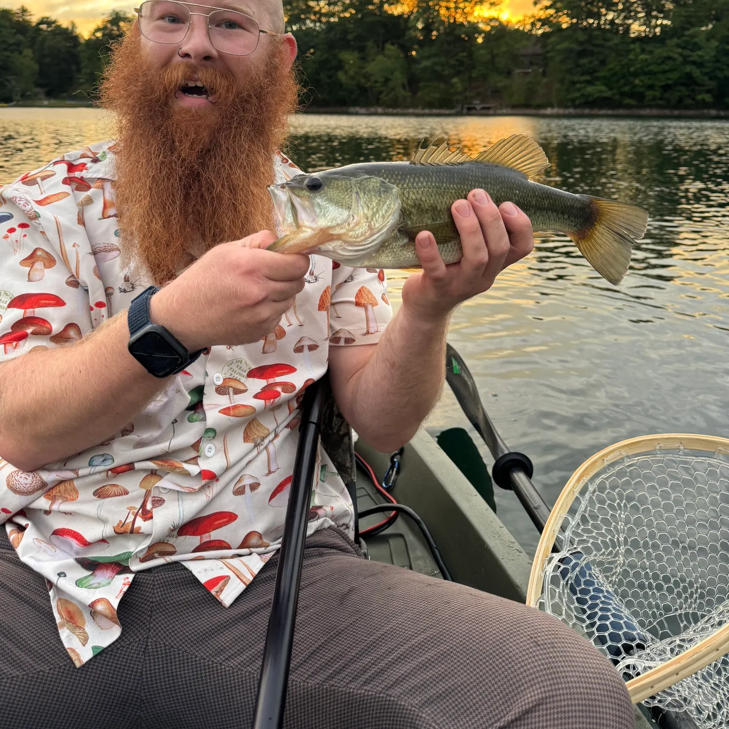 Largemouth bass caught on Fishbrain