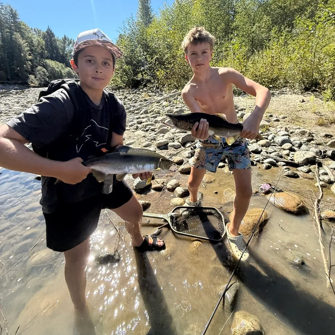Pink salmon caught on Fishbrain