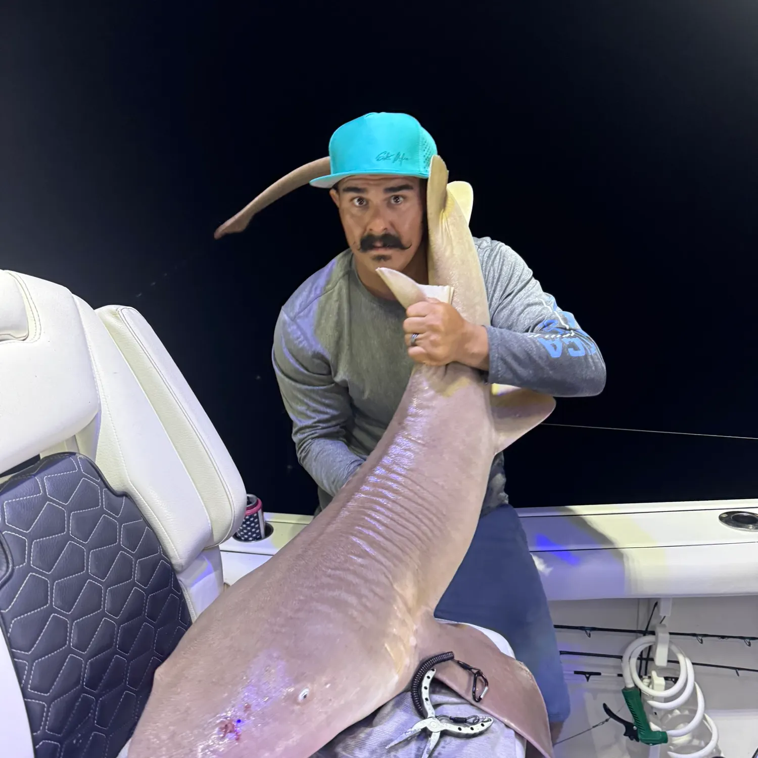 The most recent Nurse shark catches on Fishbrain