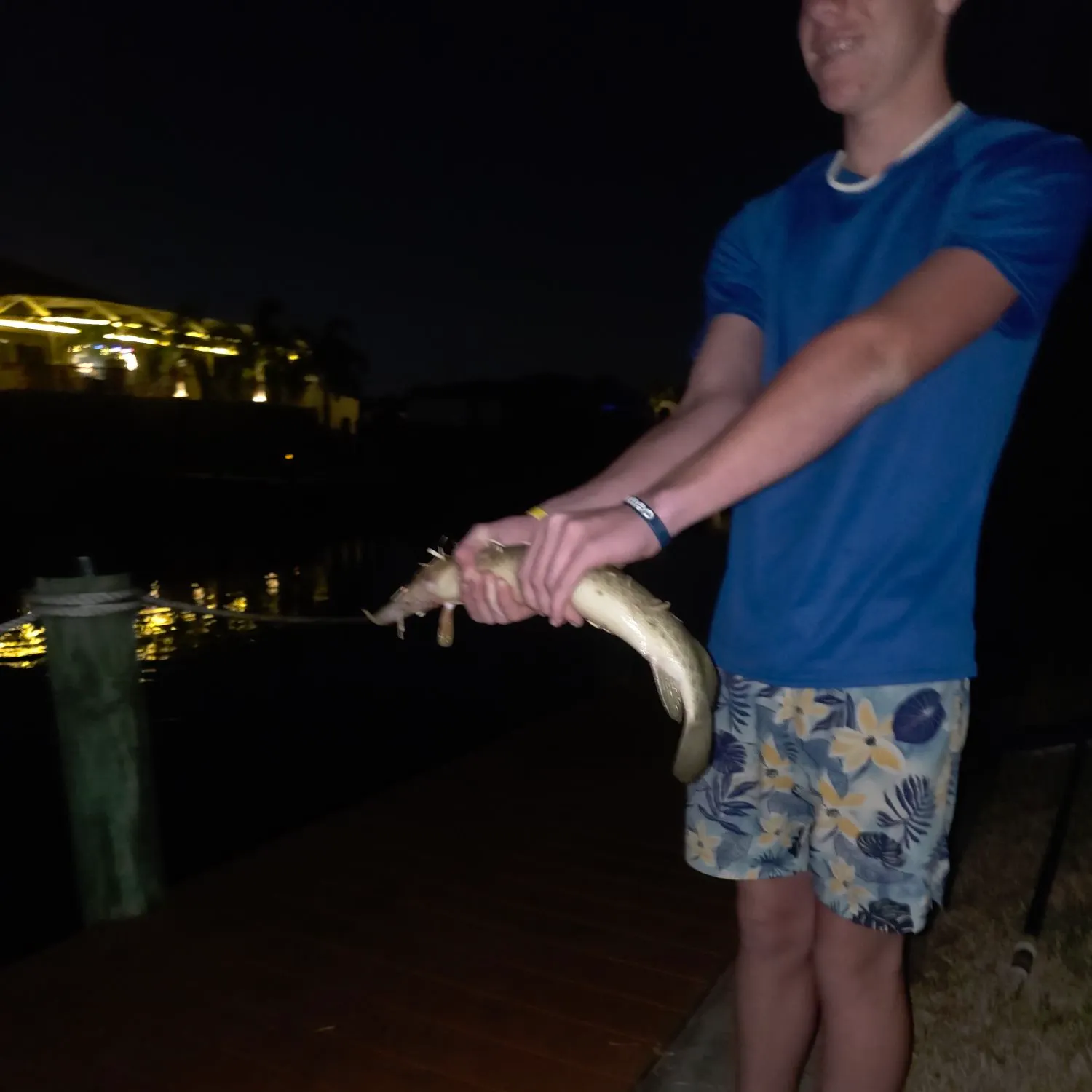 The most recent Spotted gar catches on Fishbrain