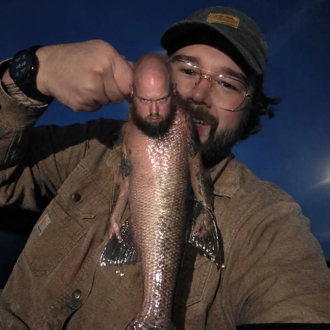 Grass pickerel caught on Fishbrain